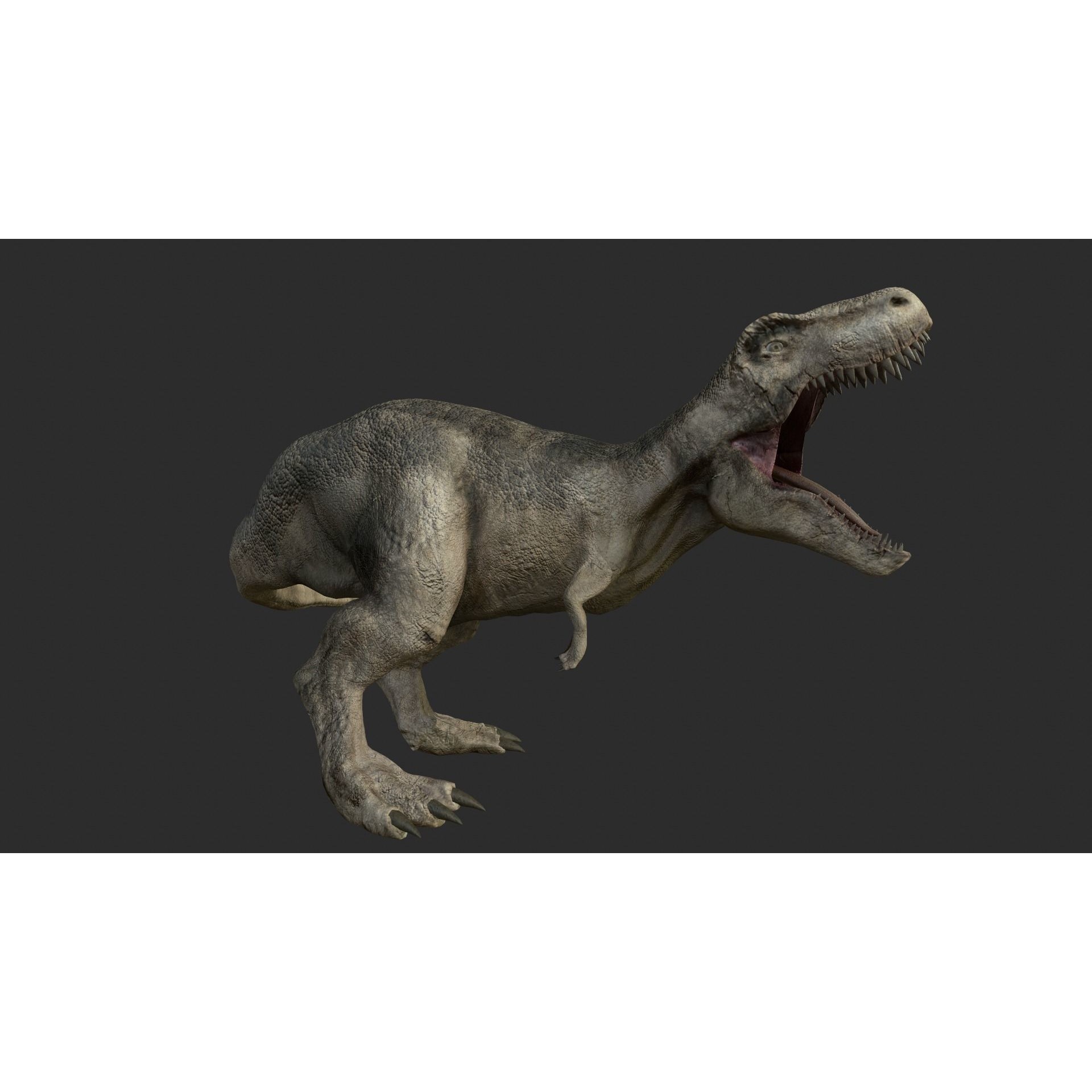 Tyrannosaurus Rex Free low-poly 3D model 10