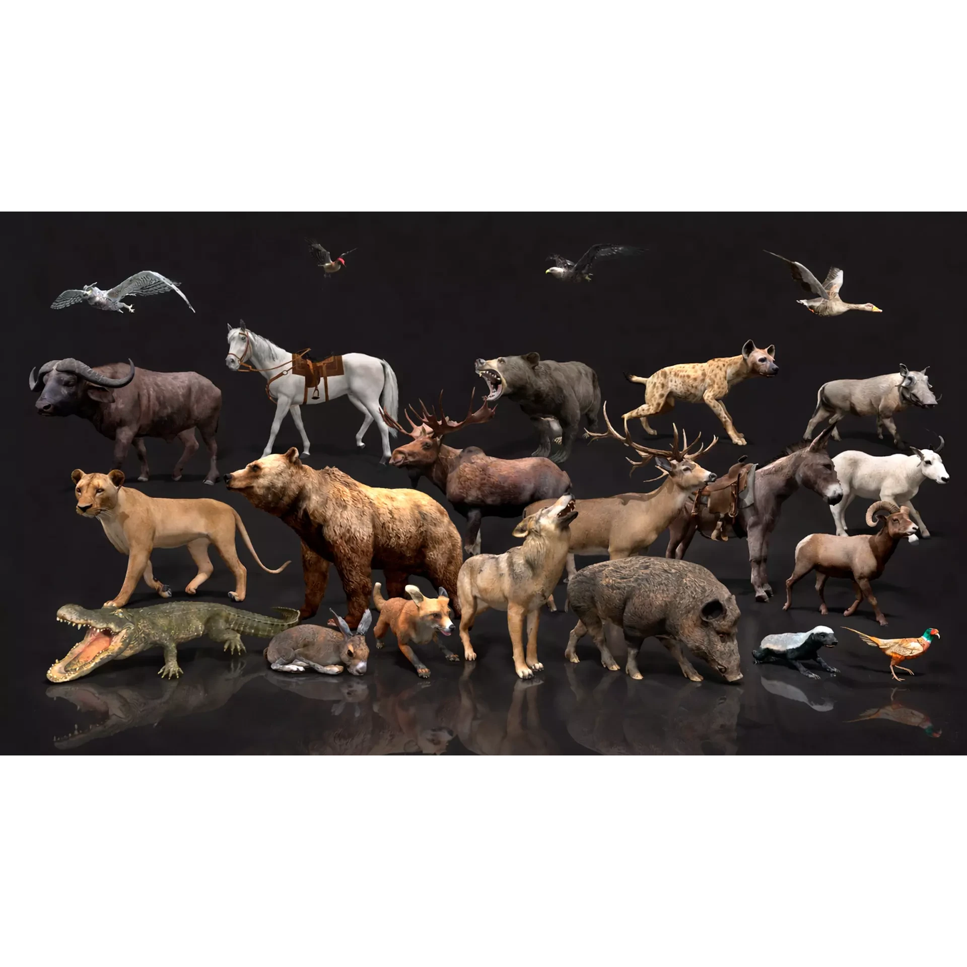 ULTIMATE 3D ANIMAL PACK Low-poly 3D model 2