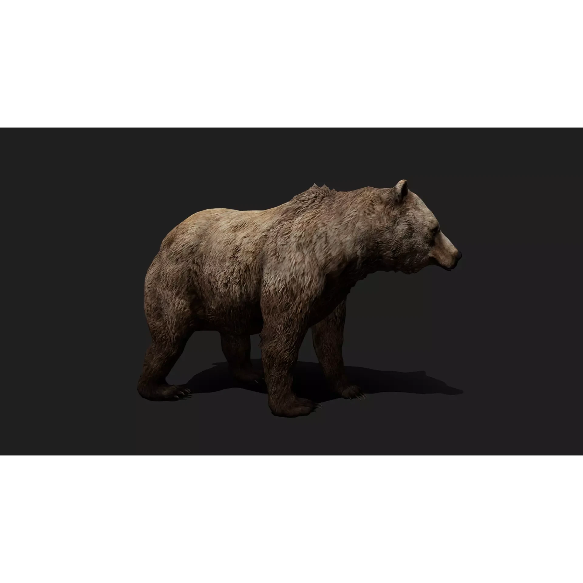 ULTIMATE 3D ANIMAL PACK Low-poly 3D model 6