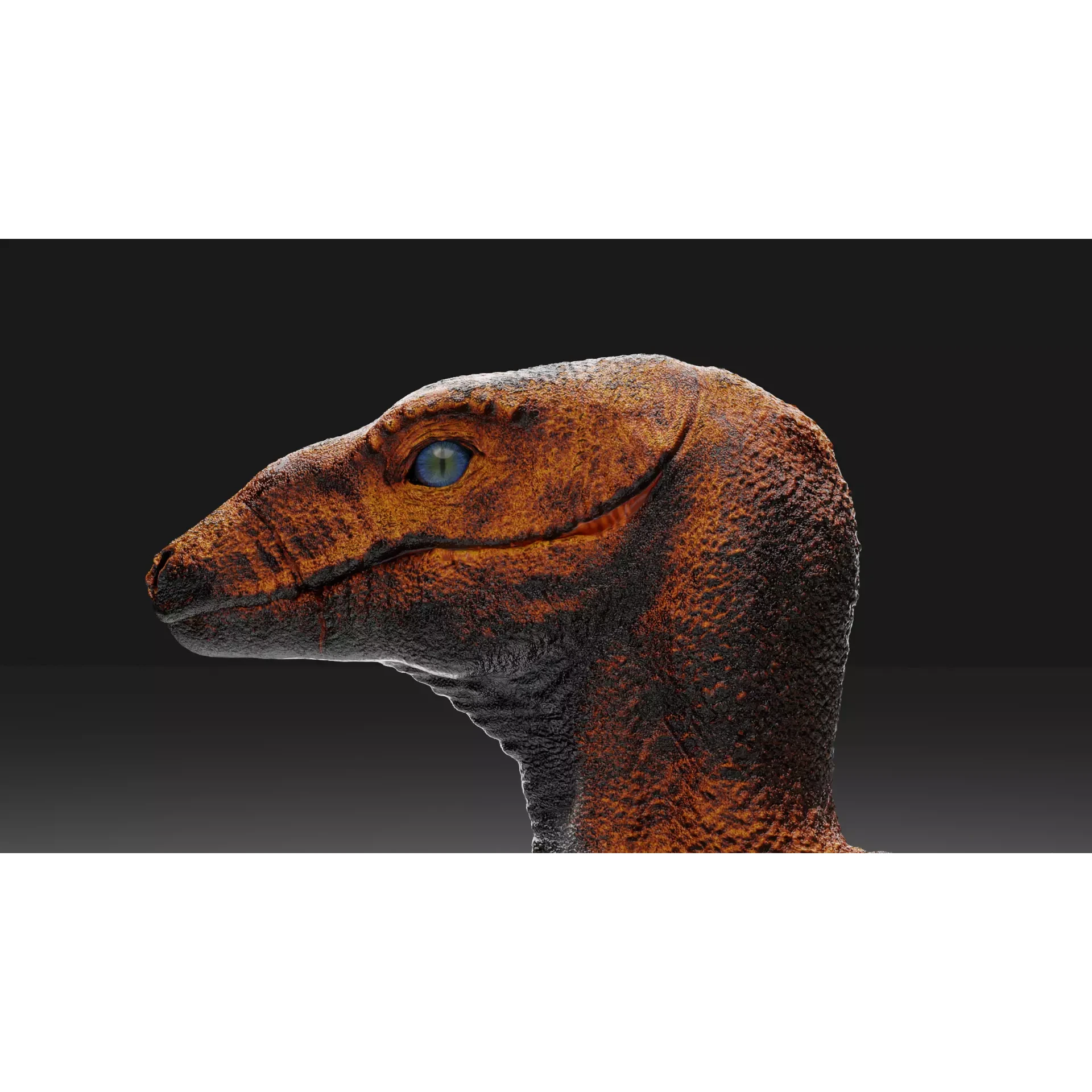 Velociraptor - 3D Model Free 3D model