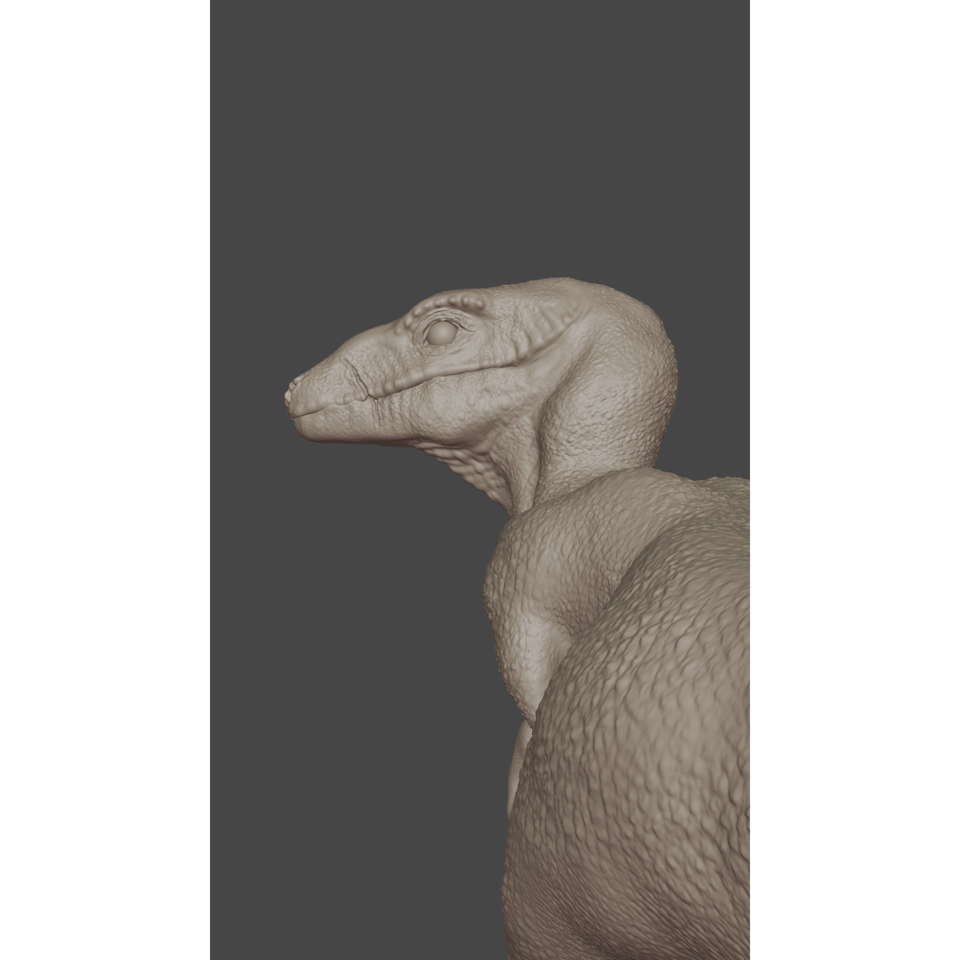 Velociraptor - 3D Model Free 3D model 3