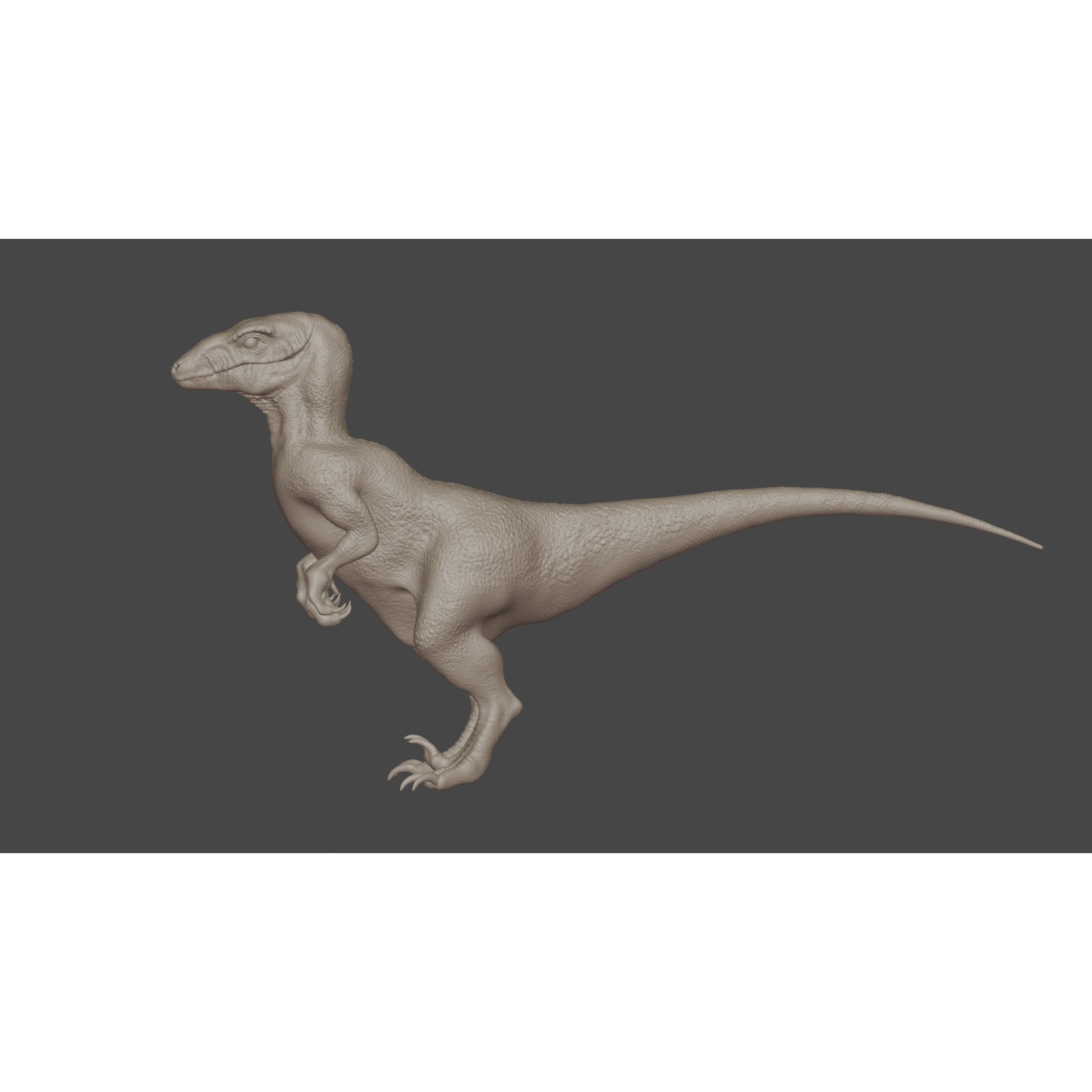 Velociraptor - 3D Model Free 3D model 4