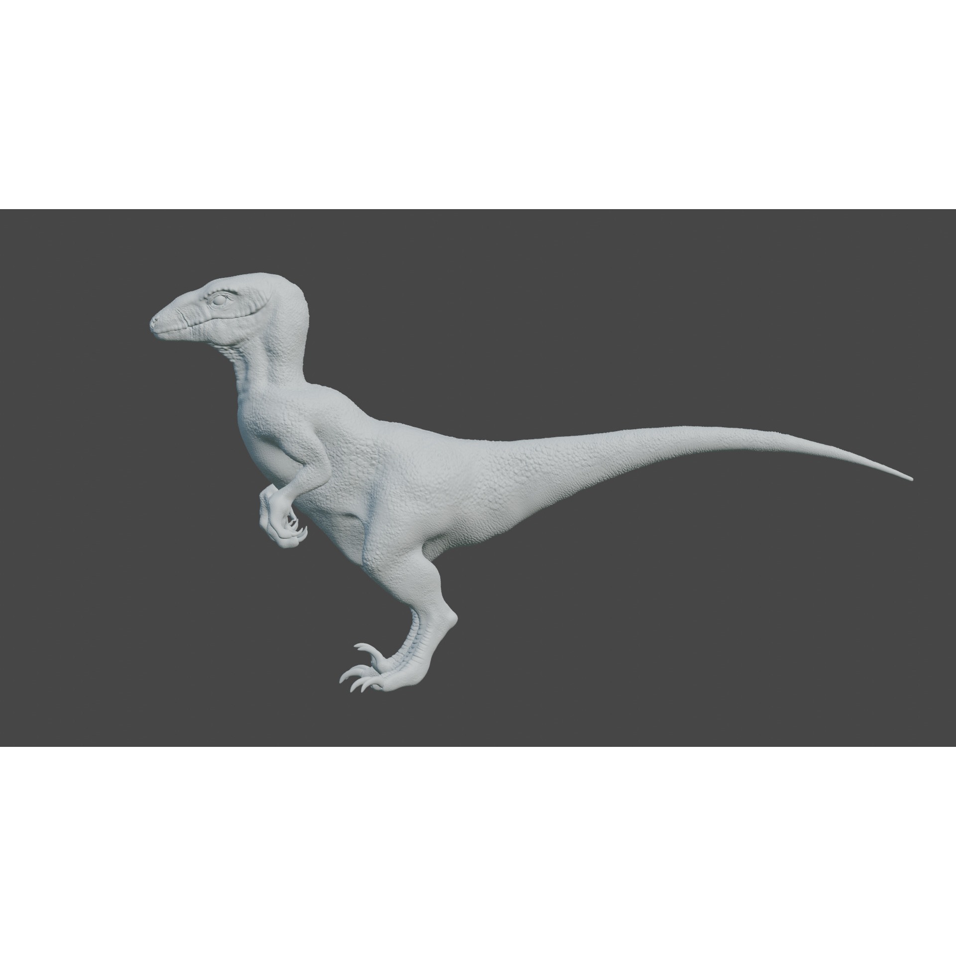 Velociraptor - 3D Model Free 3D model 5