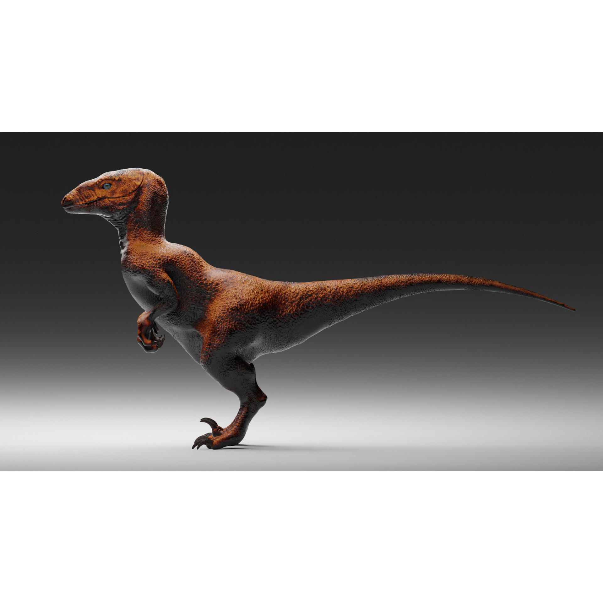 Velociraptor - 3D Model Free 3D model 6