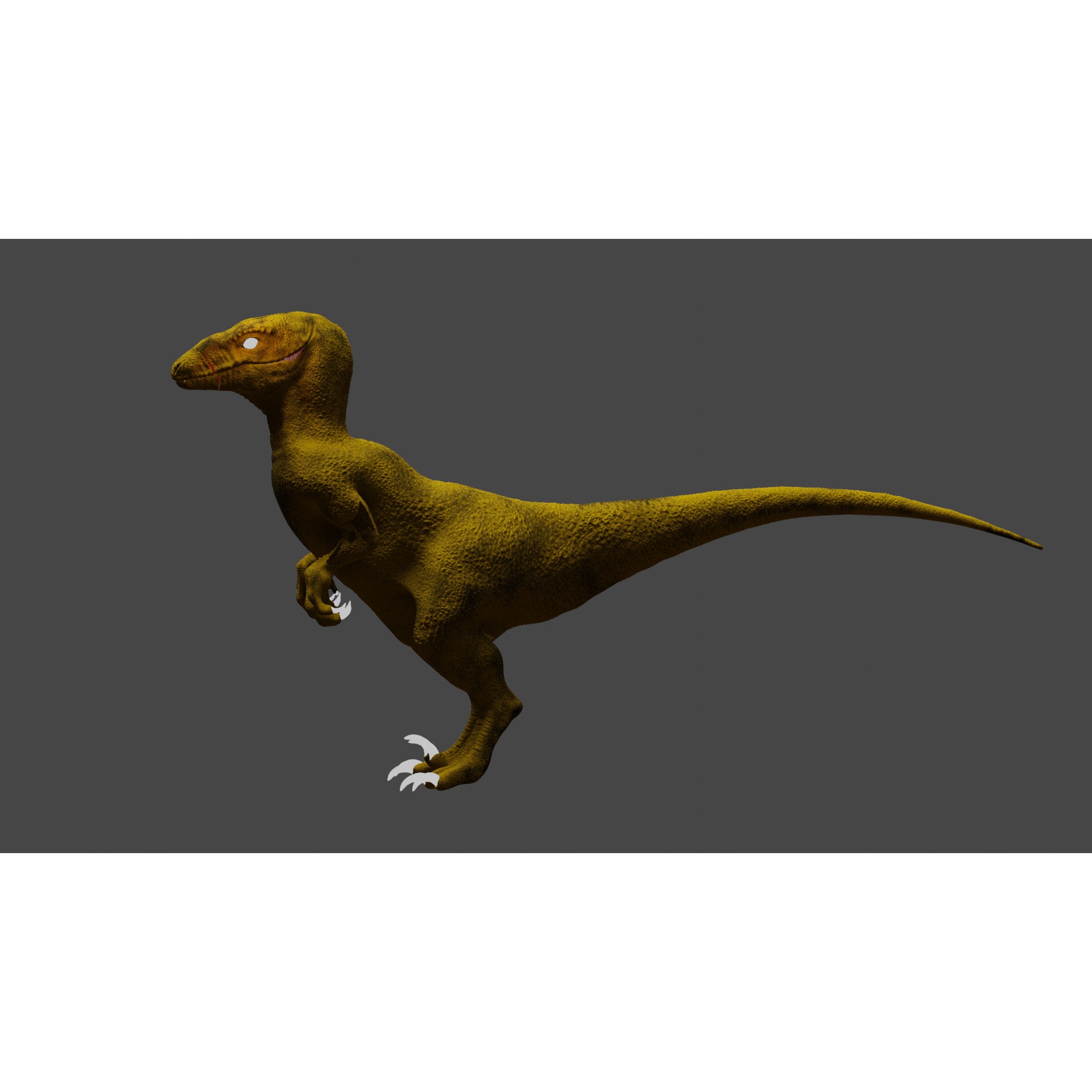 Velociraptor - 3D Model Free 3D model 7