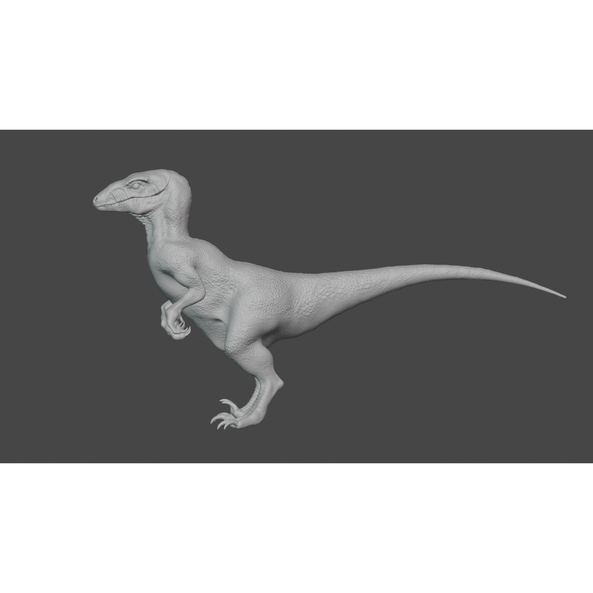 Velociraptor - 3D Model Free 3D model 8
