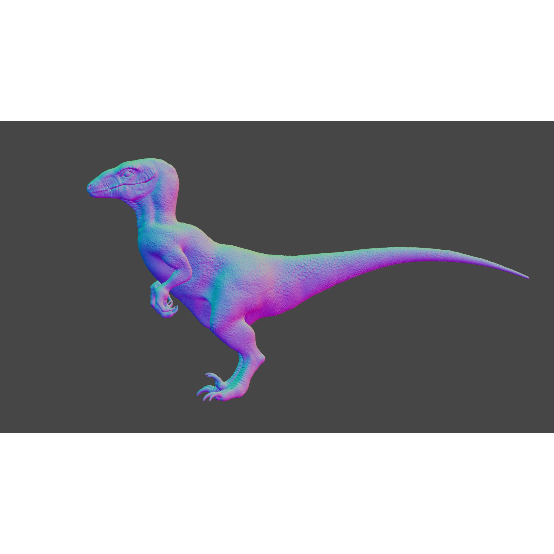 Velociraptor - 3D Model Free 3D model 10