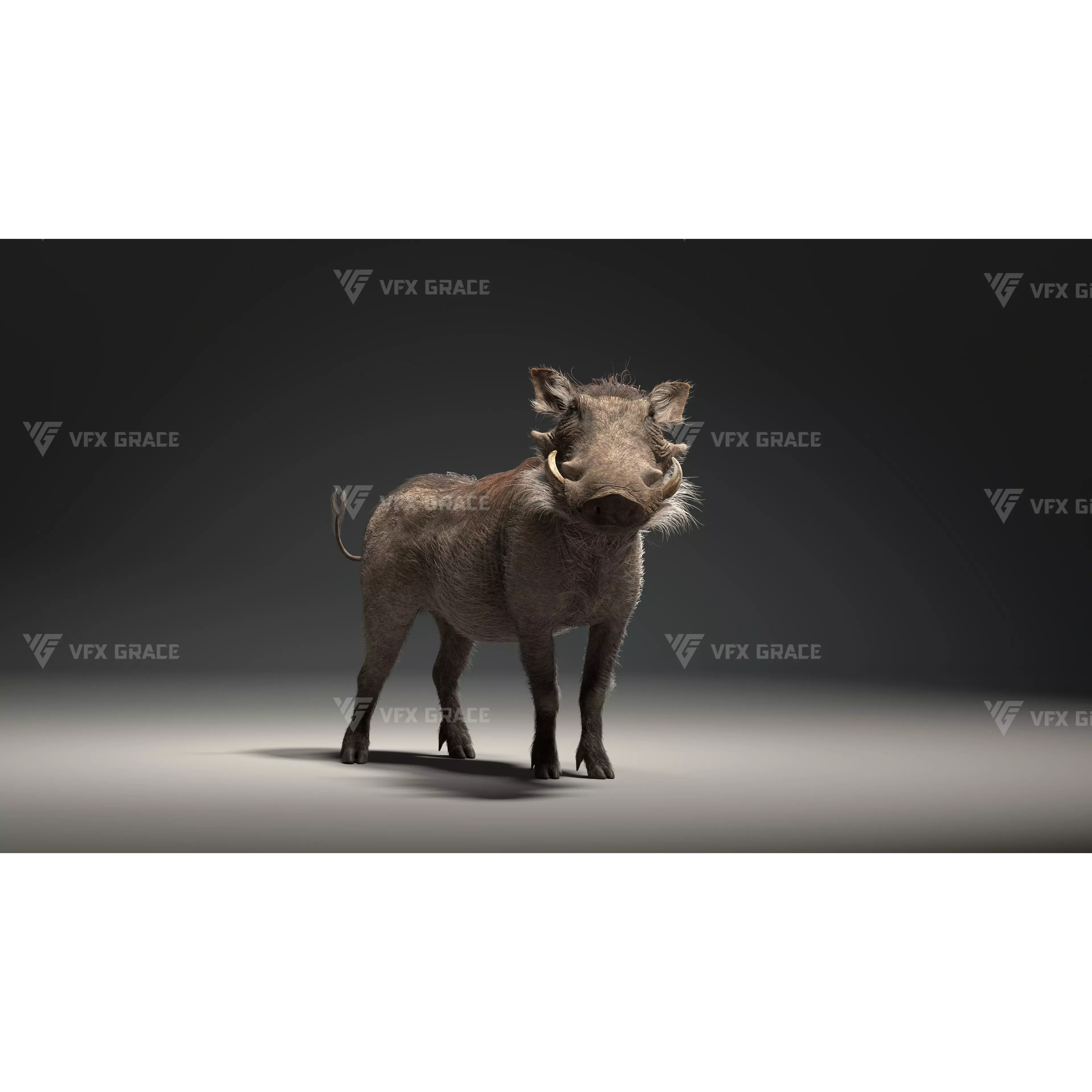 Warthog Animation Blender 3D Model 3D model 2