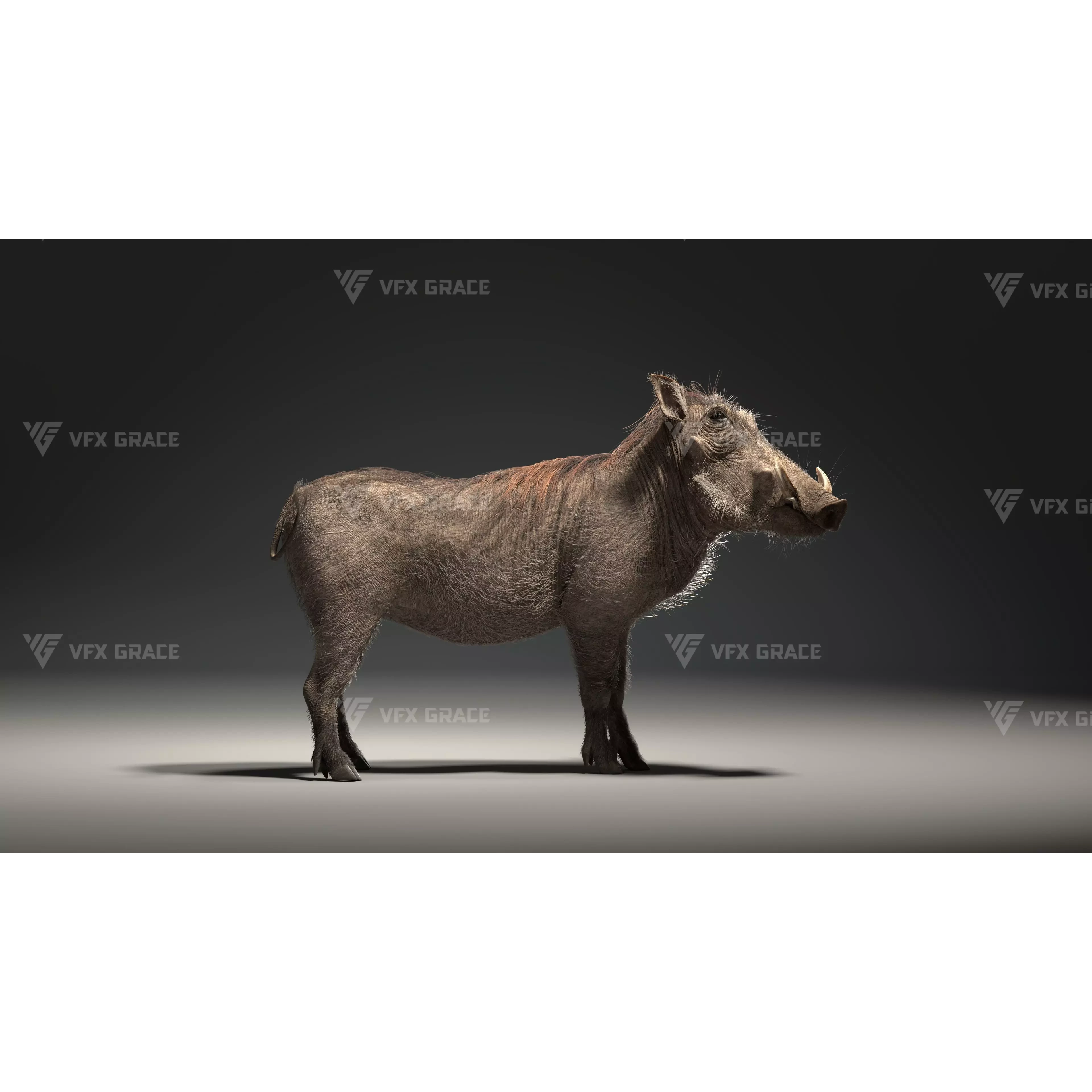 Warthog Animation Blender 3D Model 3D model 3