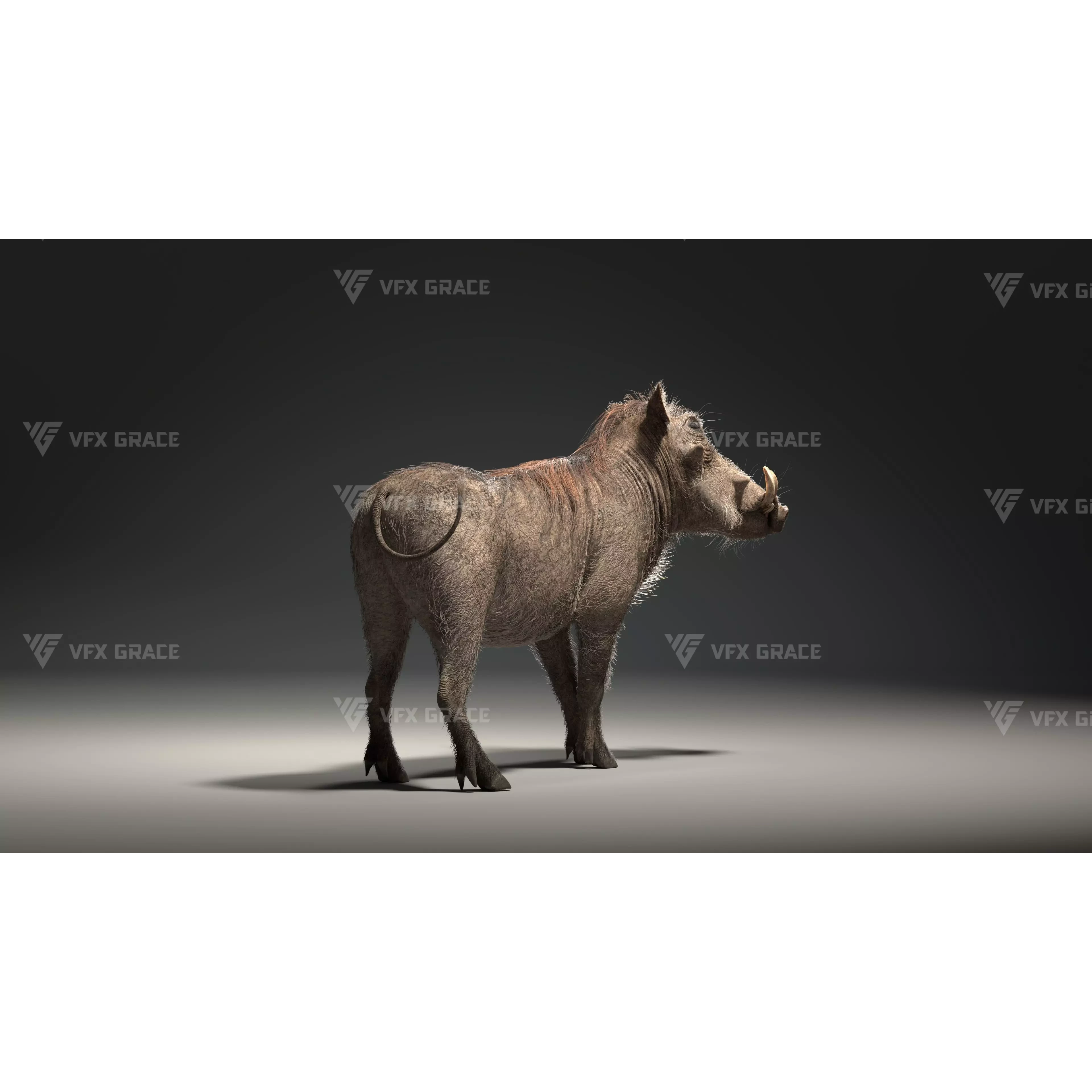 Warthog Animation Blender 3D Model 3D model 4