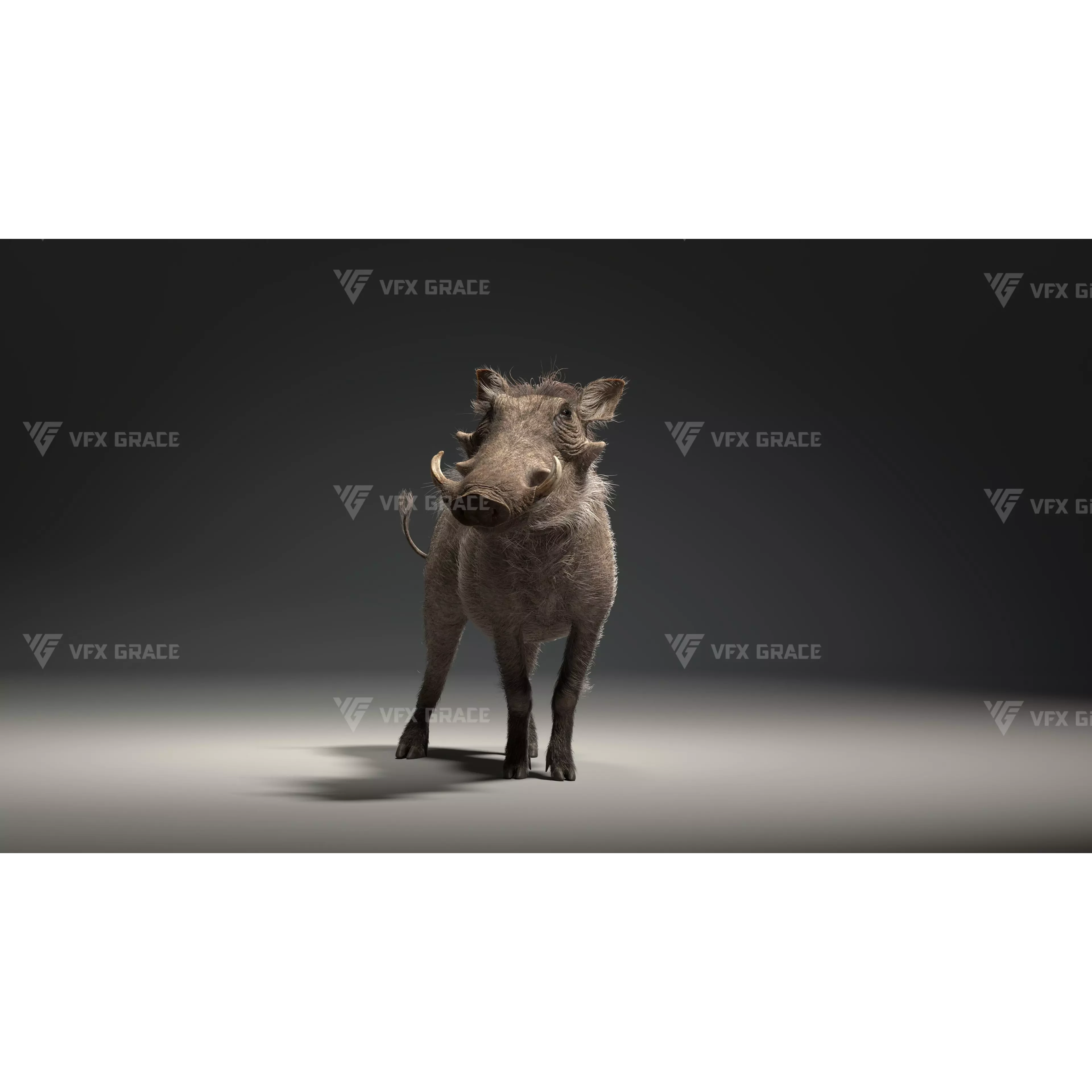 Warthog Animation Blender 3D Model 3D model 5