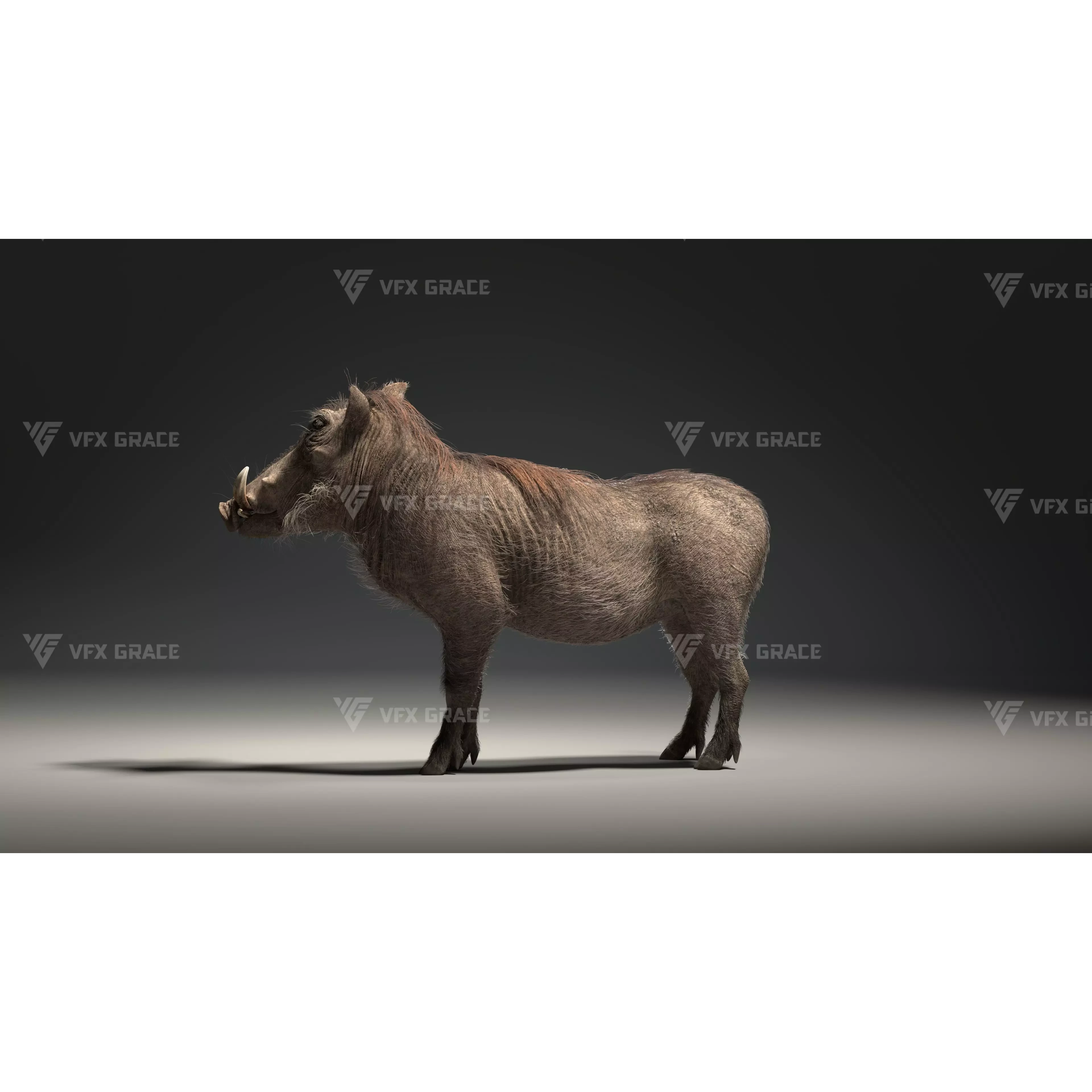 Warthog Animation Blender 3D Model 3D model 6