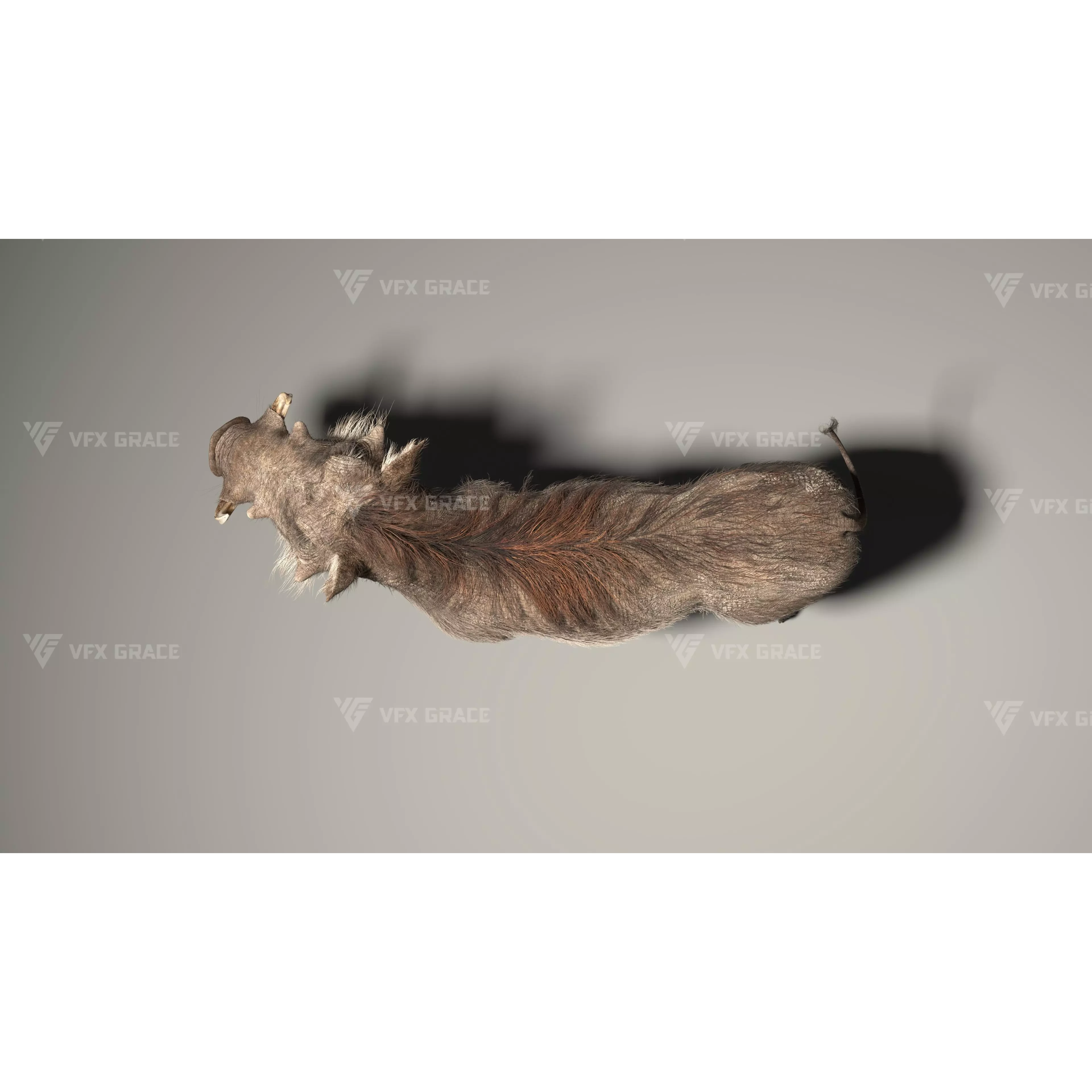 Warthog Animation Blender 3D Model 3D model 7