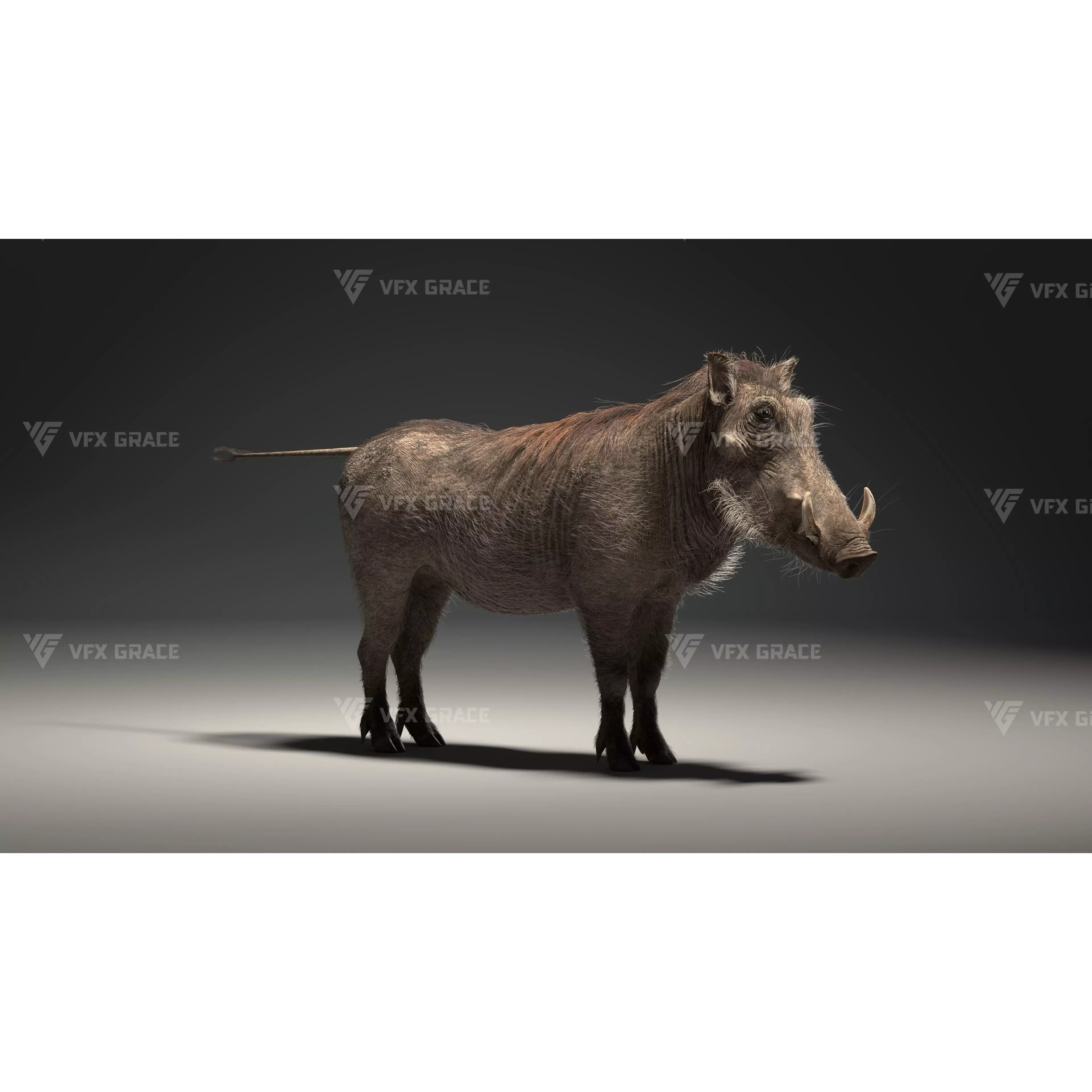 Warthog Animation Blender 3D Model 3D model 8
