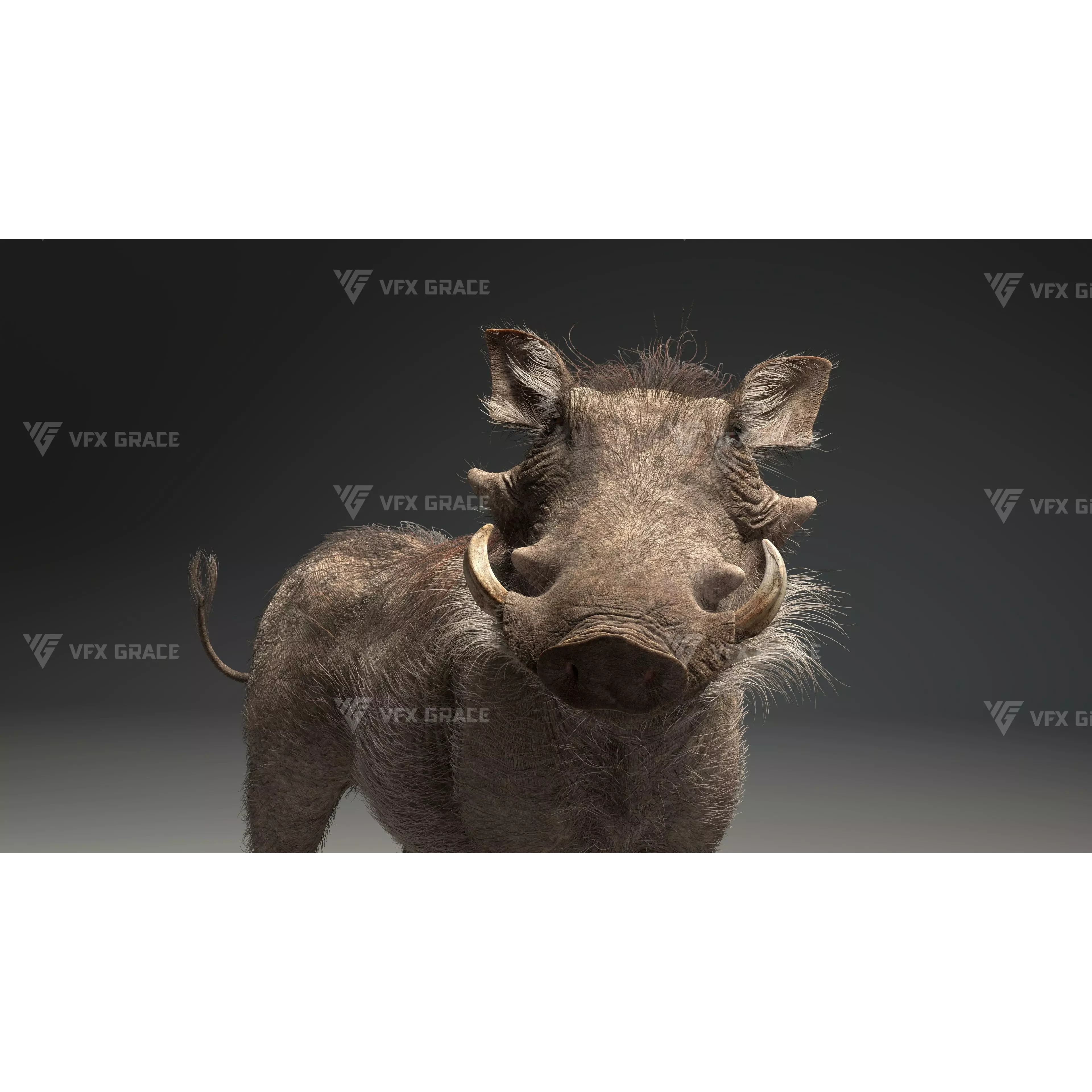 Warthog Animation Blender 3D Model 3D model 9