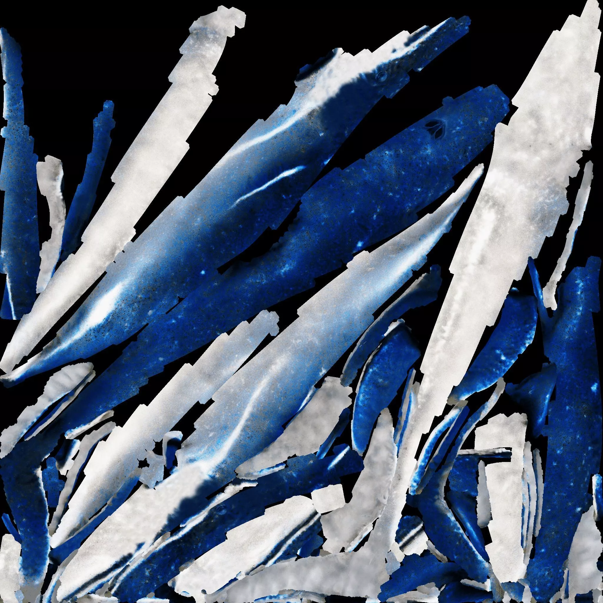 Whale Free 3D model 8