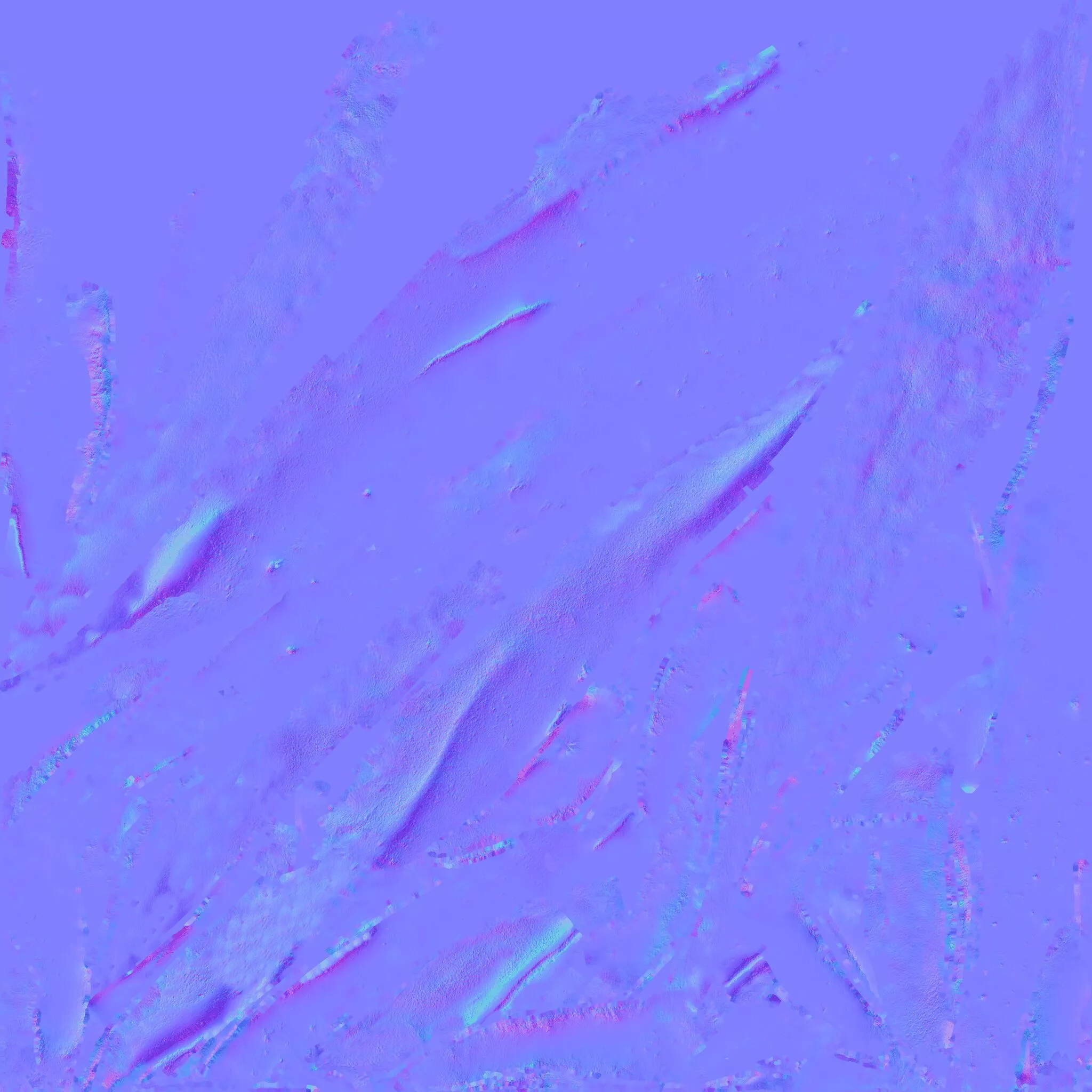 Whale Free 3D model 9