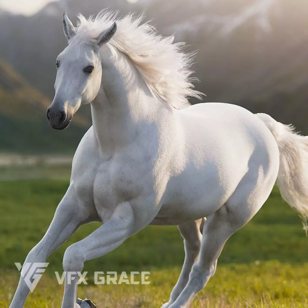 White Horse Animation VFX Grace 3D model