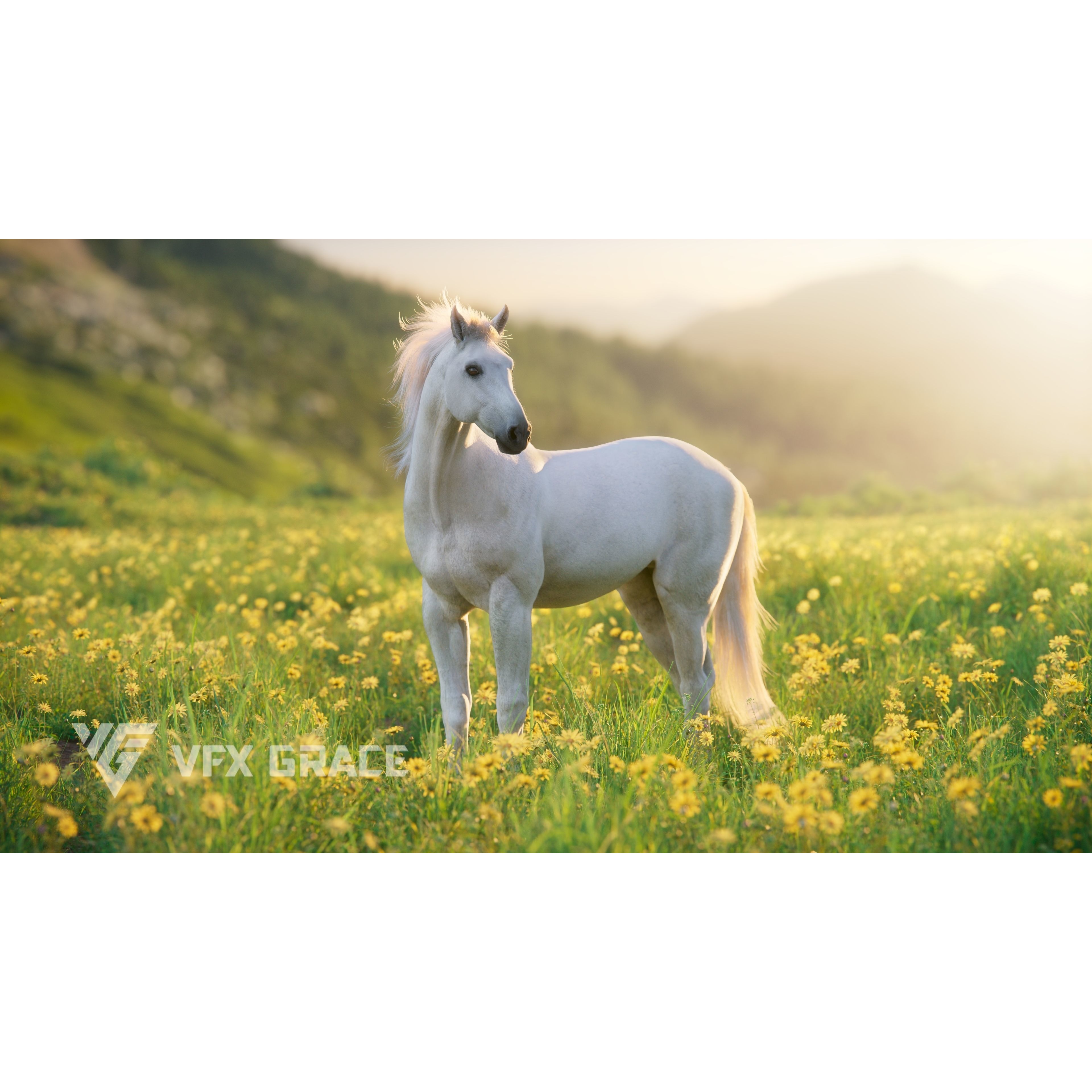 White Horse Animation VFX Grace 3D model 4