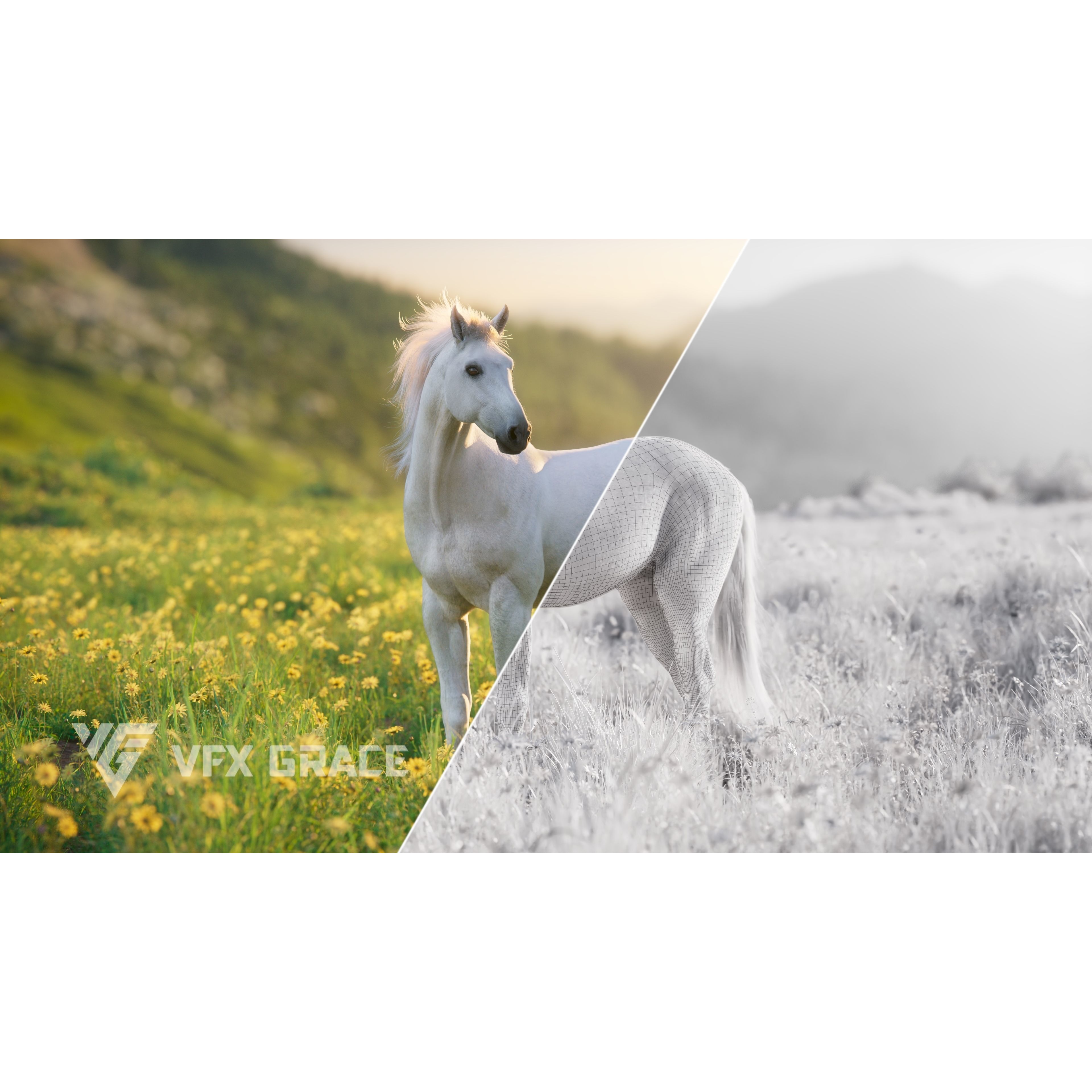White Horse Animation VFX Grace 3D model 5