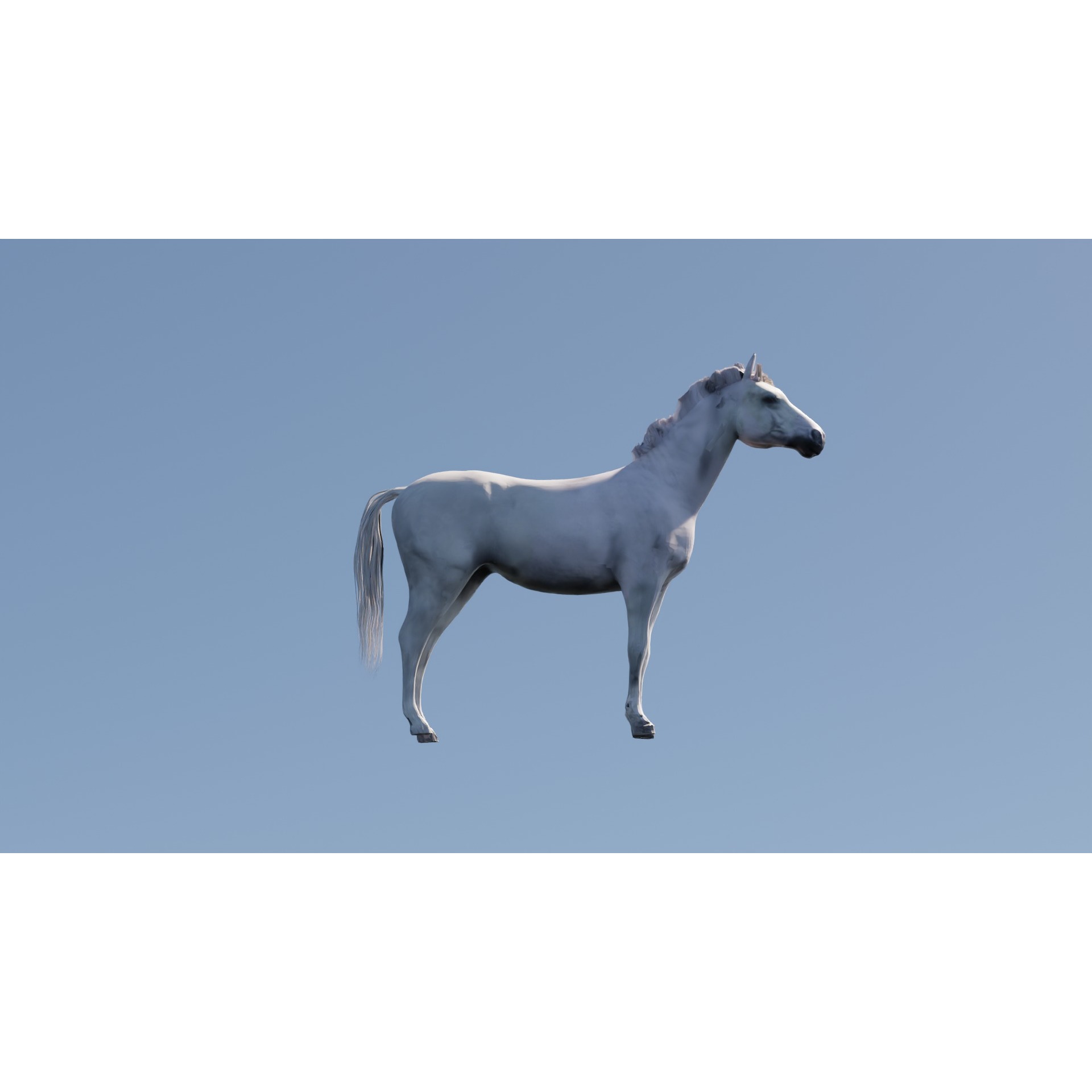 White Horse Free 3D model 2