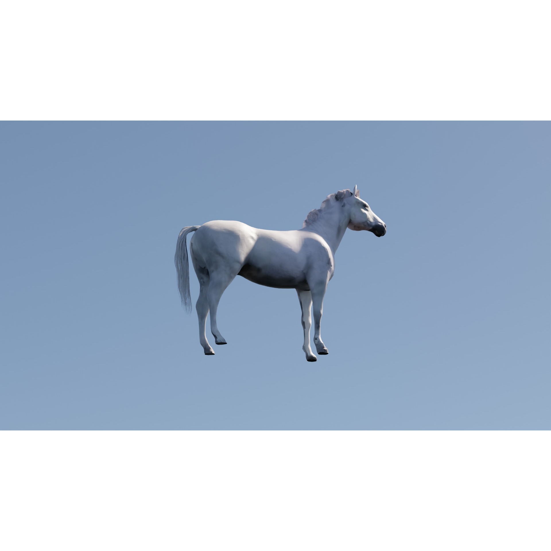White Horse Free 3D model 3