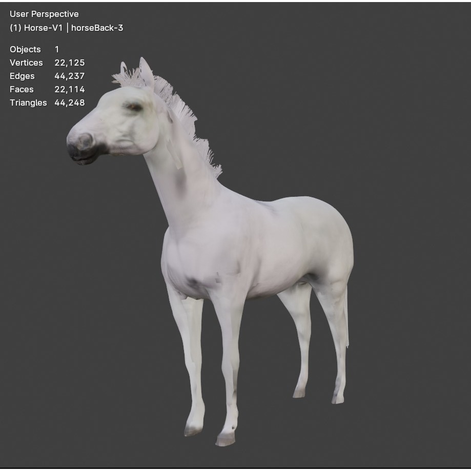 White Horse Free 3D model 4