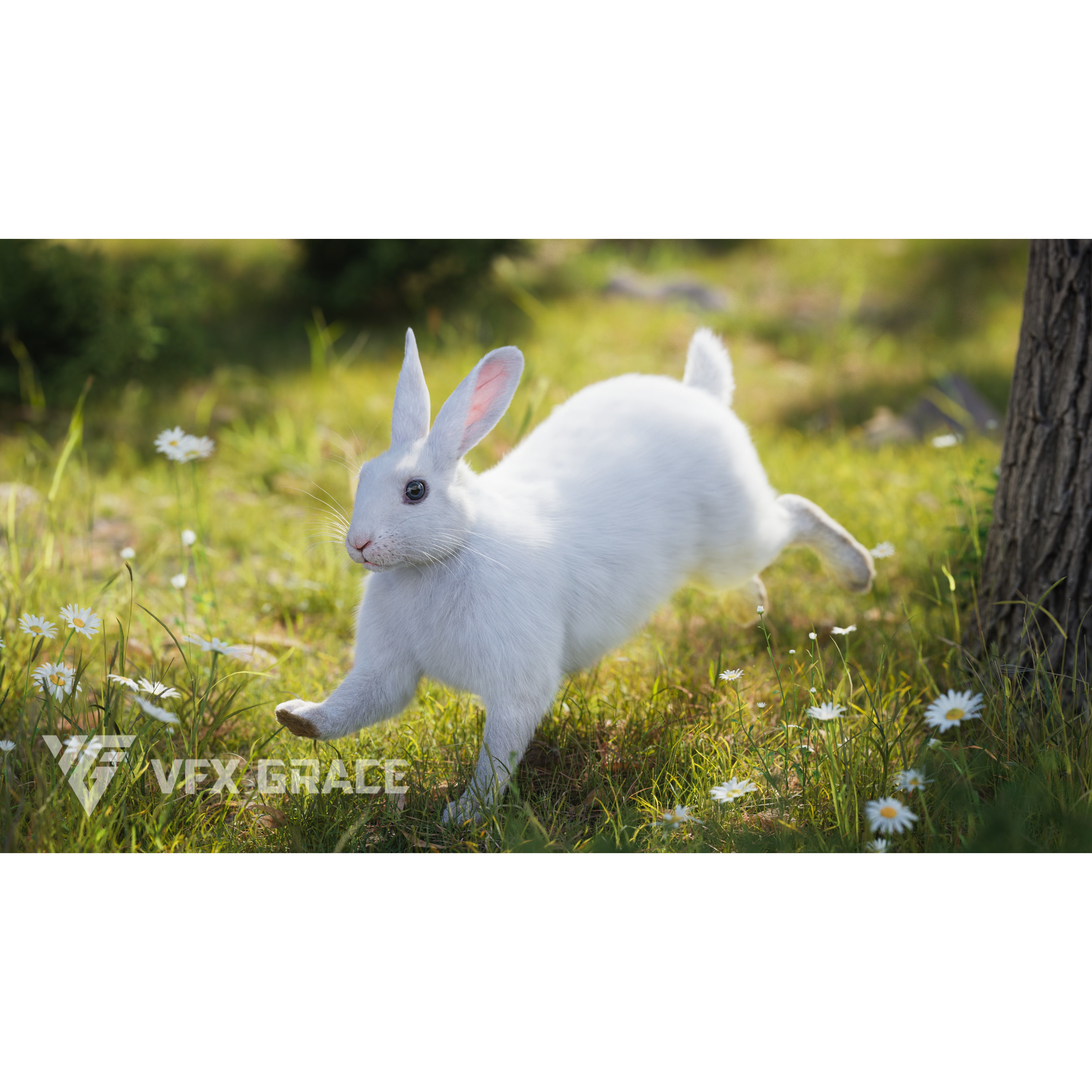 White rabbit Animated VFX Grace 3D model 3