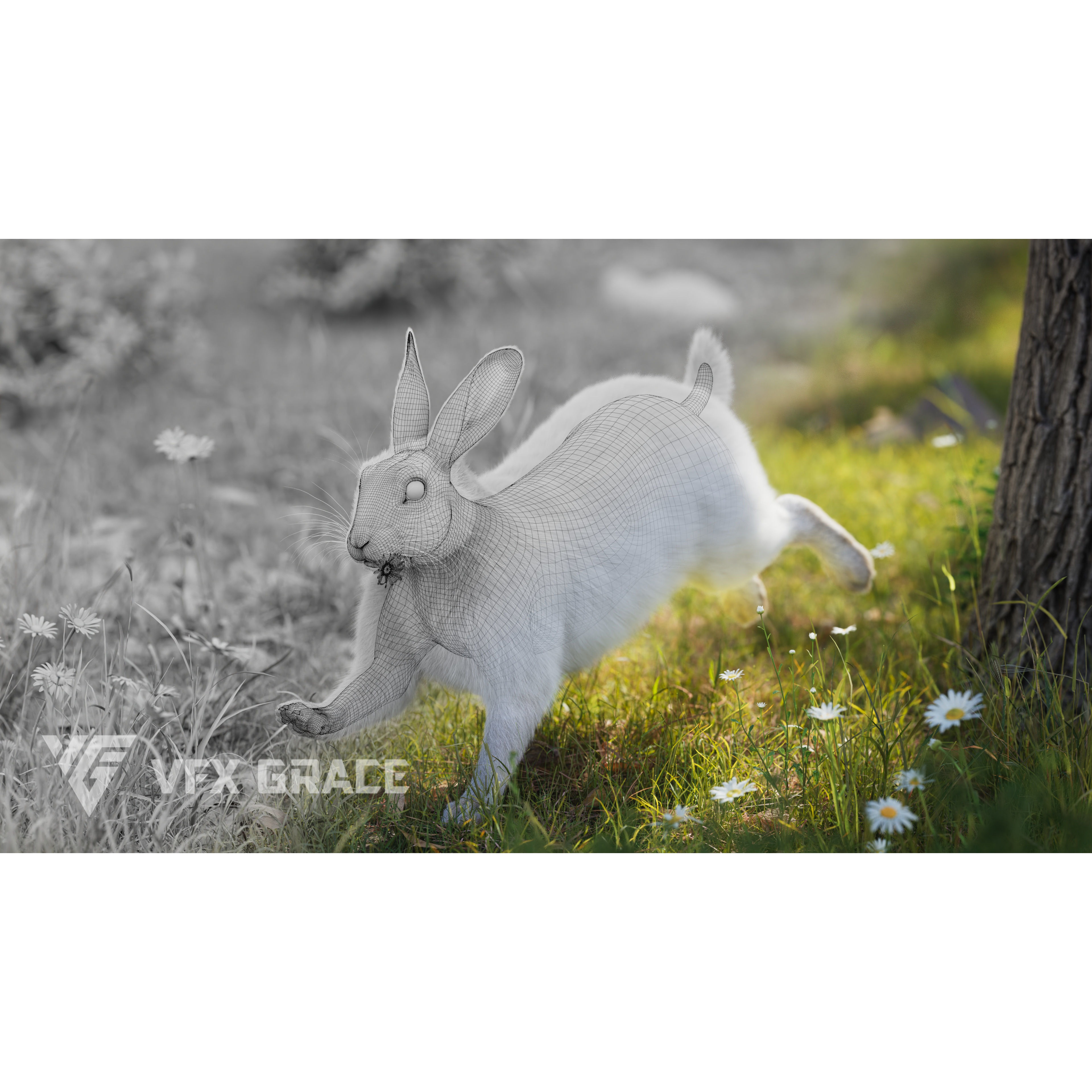 White rabbit Animated VFX Grace 3D model 4