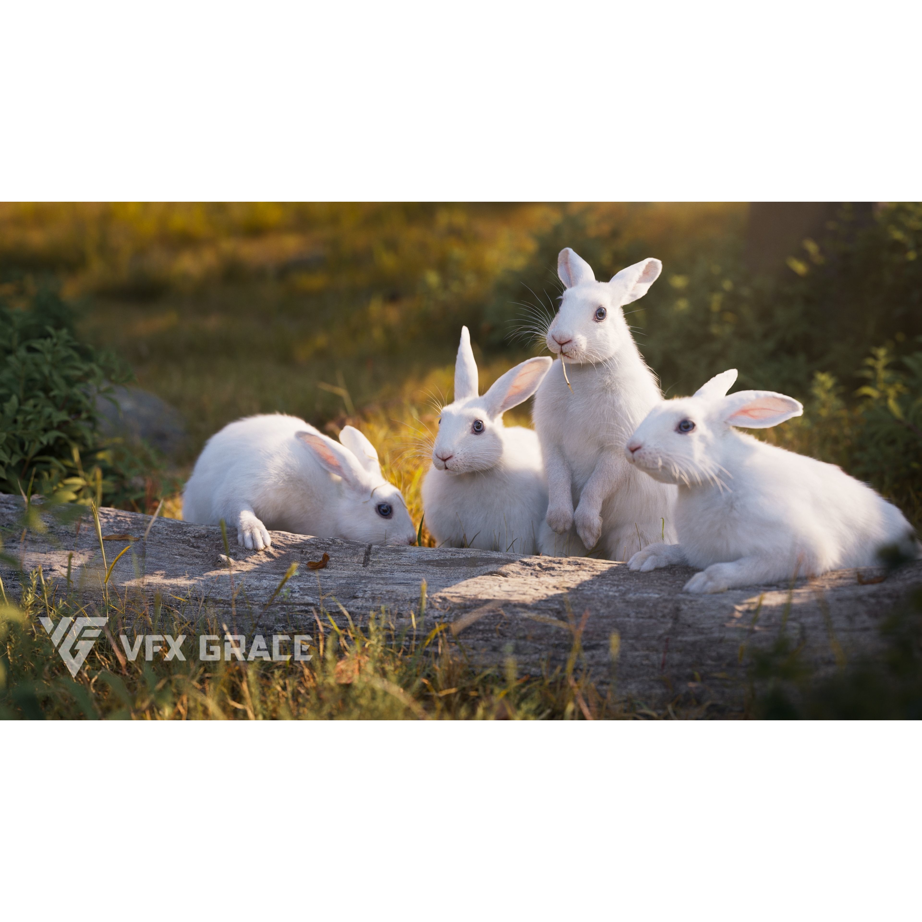 White rabbit Animated VFX Grace 3D model 5