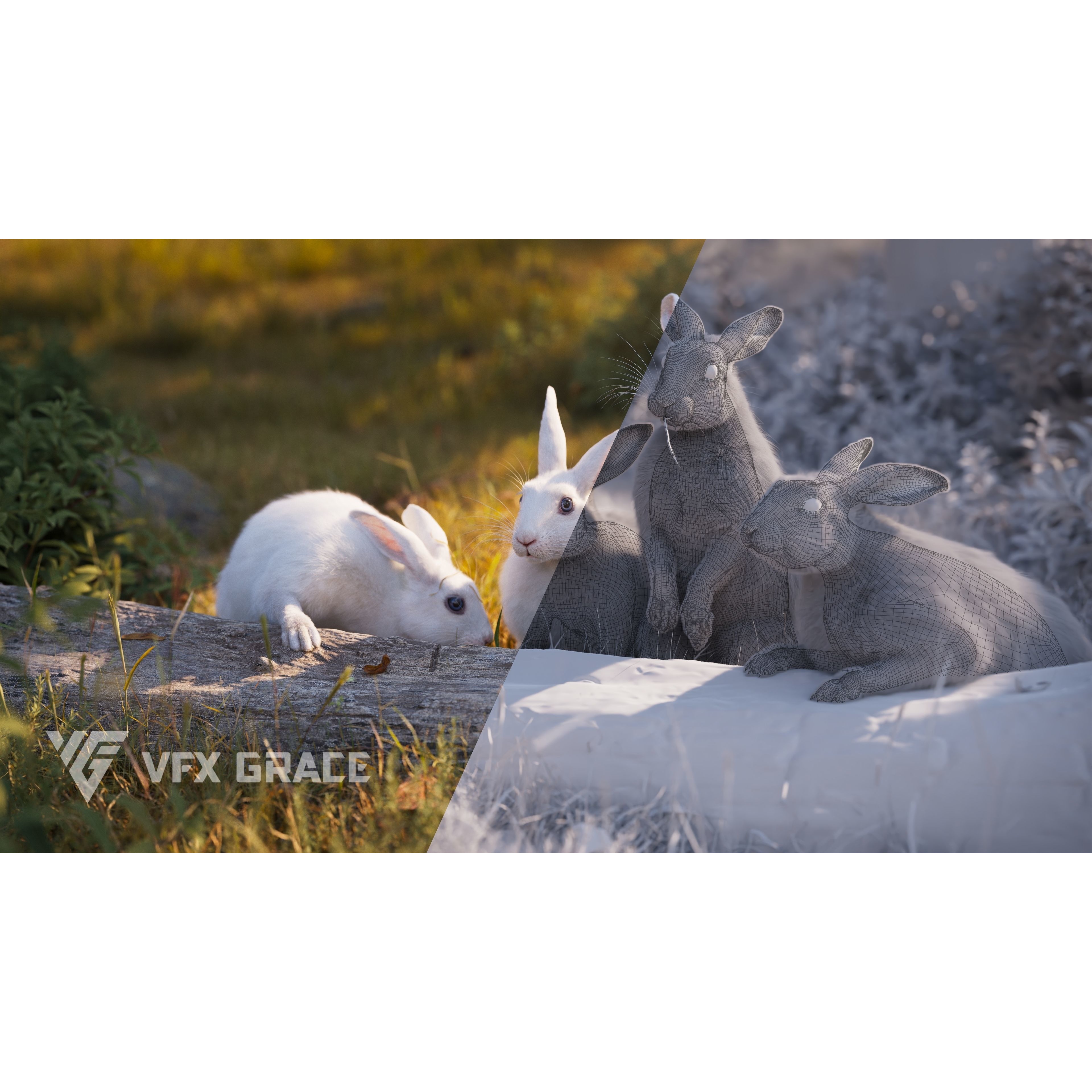 White rabbit Animated VFX Grace 3D model 6