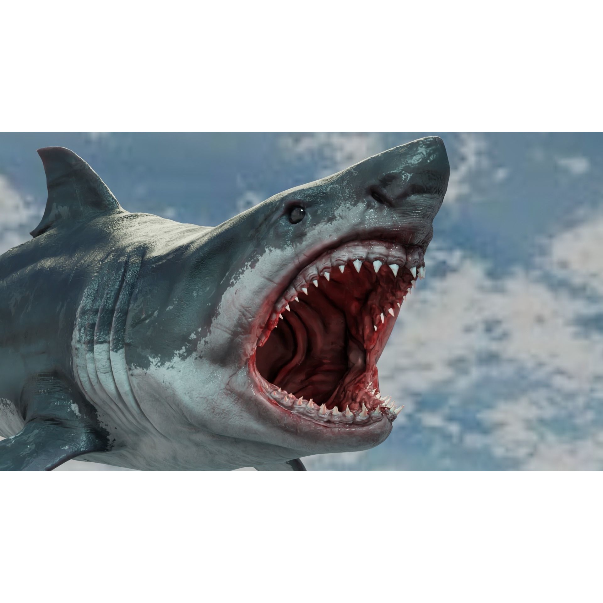 White Shark Animated Low-poly 3D model 9
