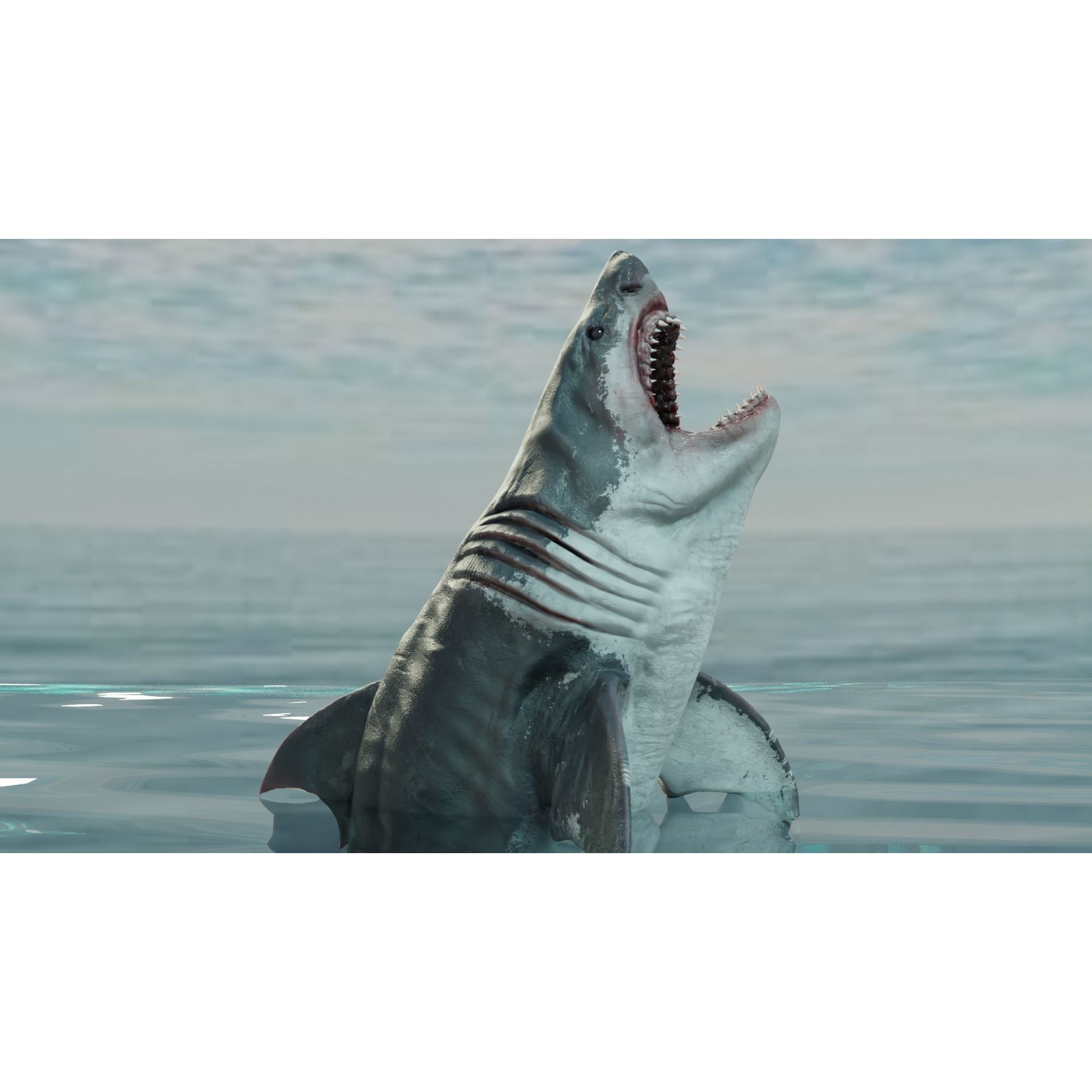 White Shark Animated Low-poly 3D model 10