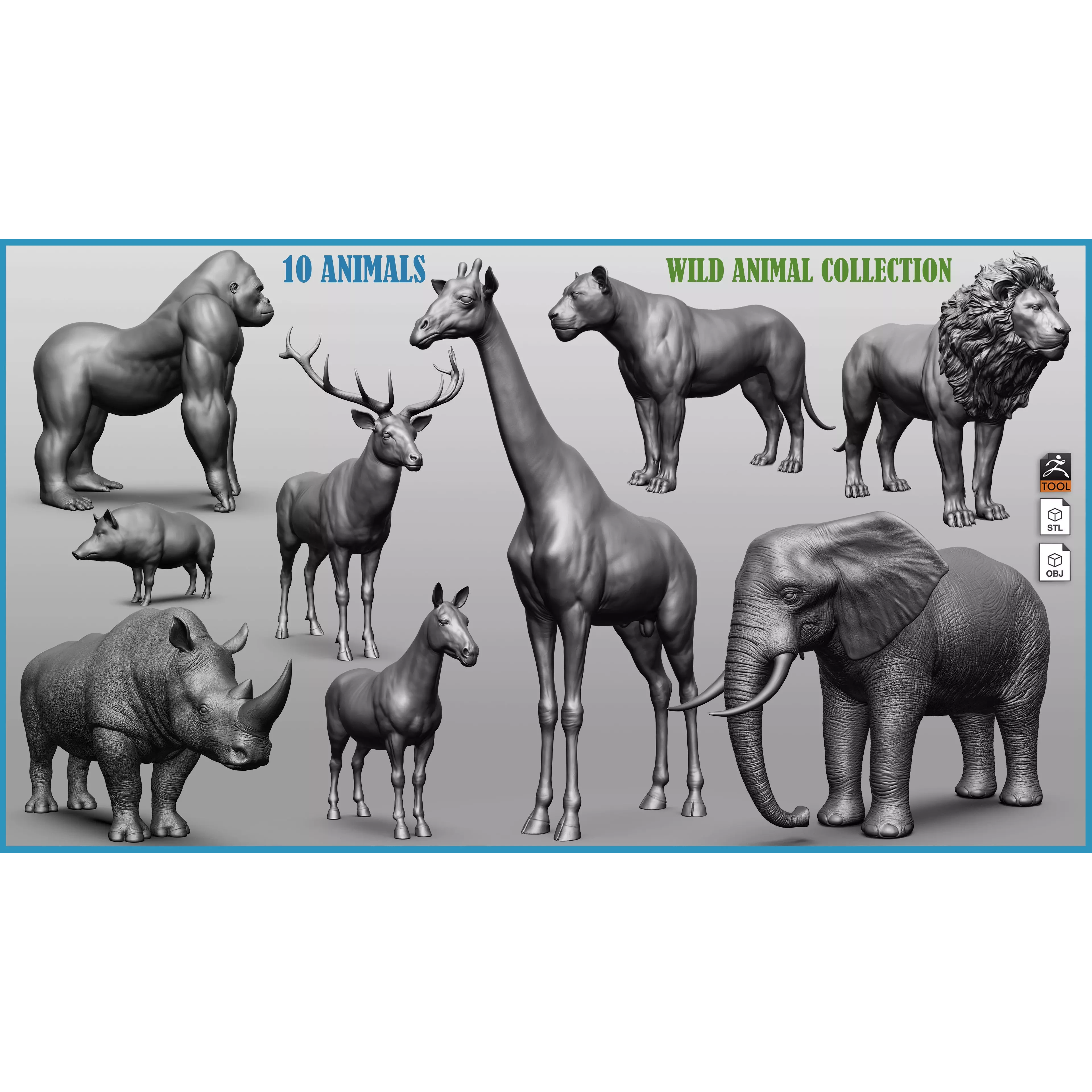 Wild animal collection 3D model