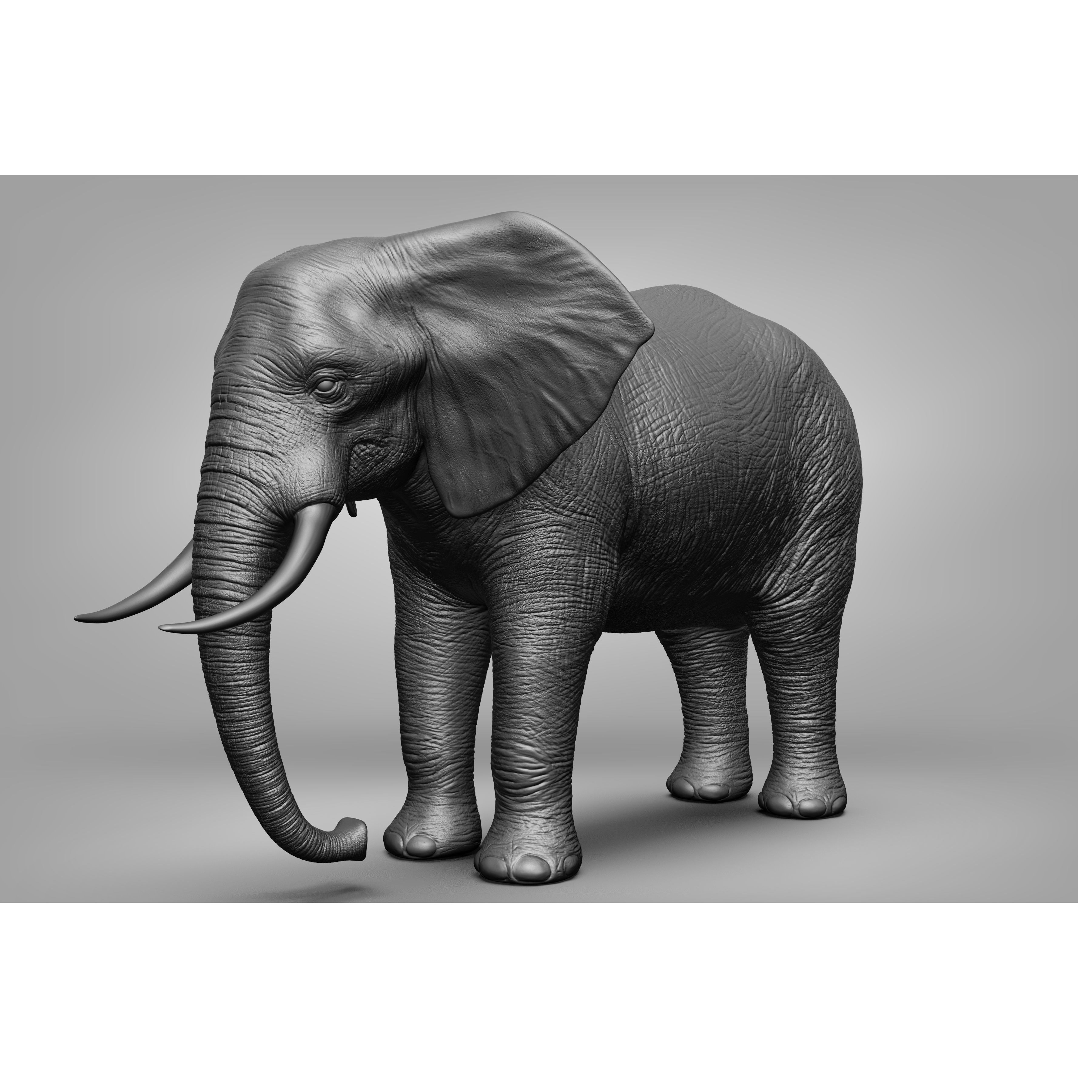 Wild animal collection 3D model 2