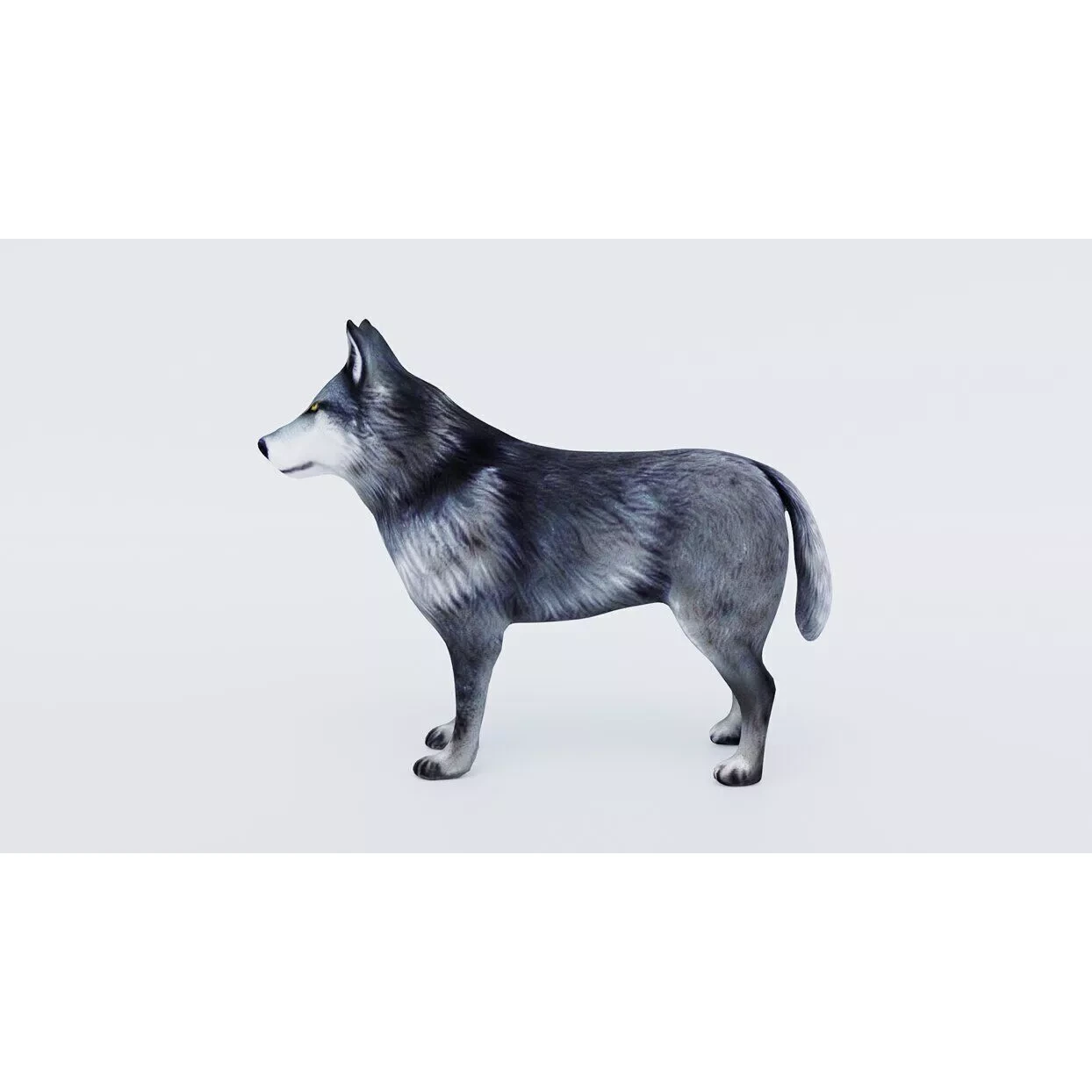 Wolf Animal Free 3D model 2