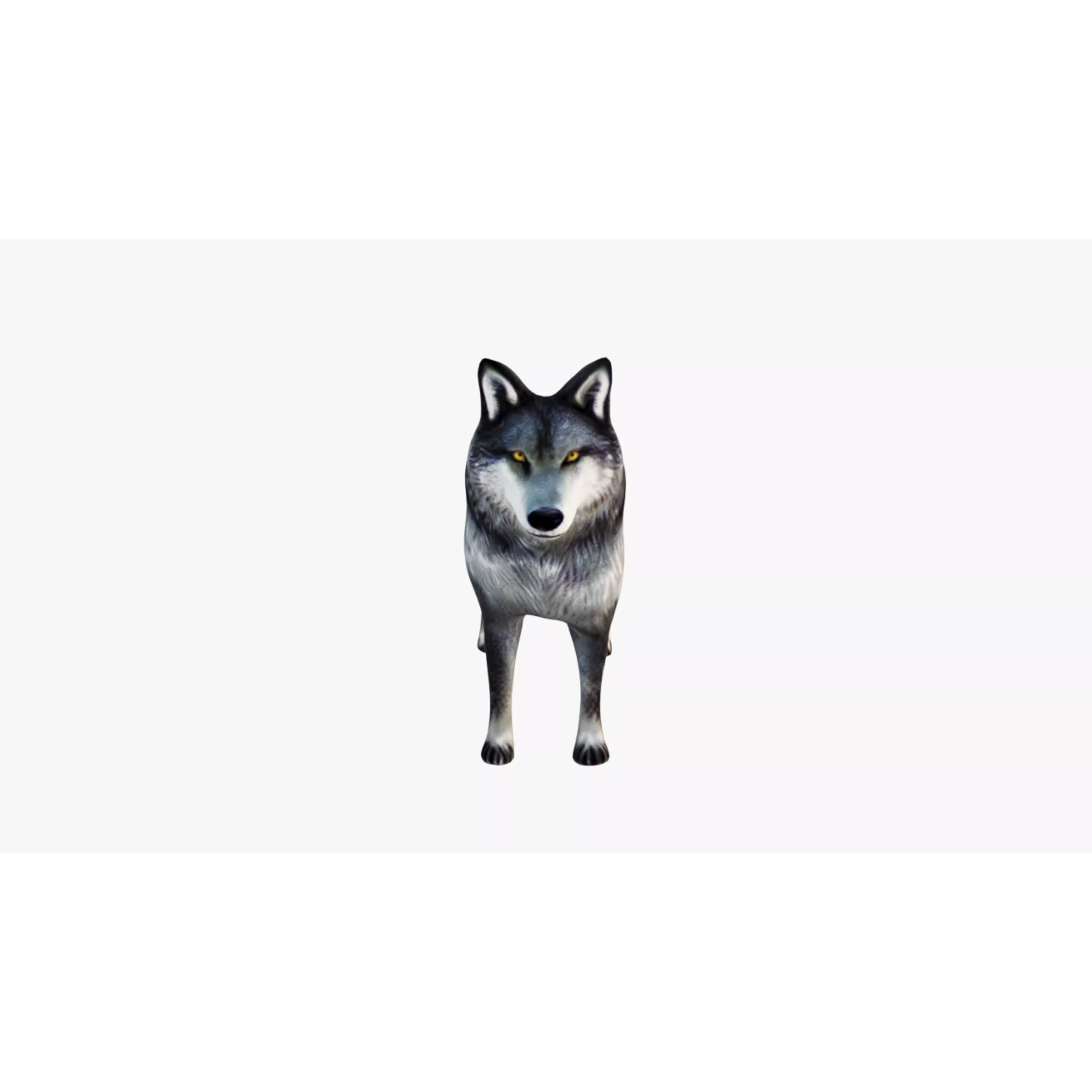 Wolf Animal Free 3D model 3