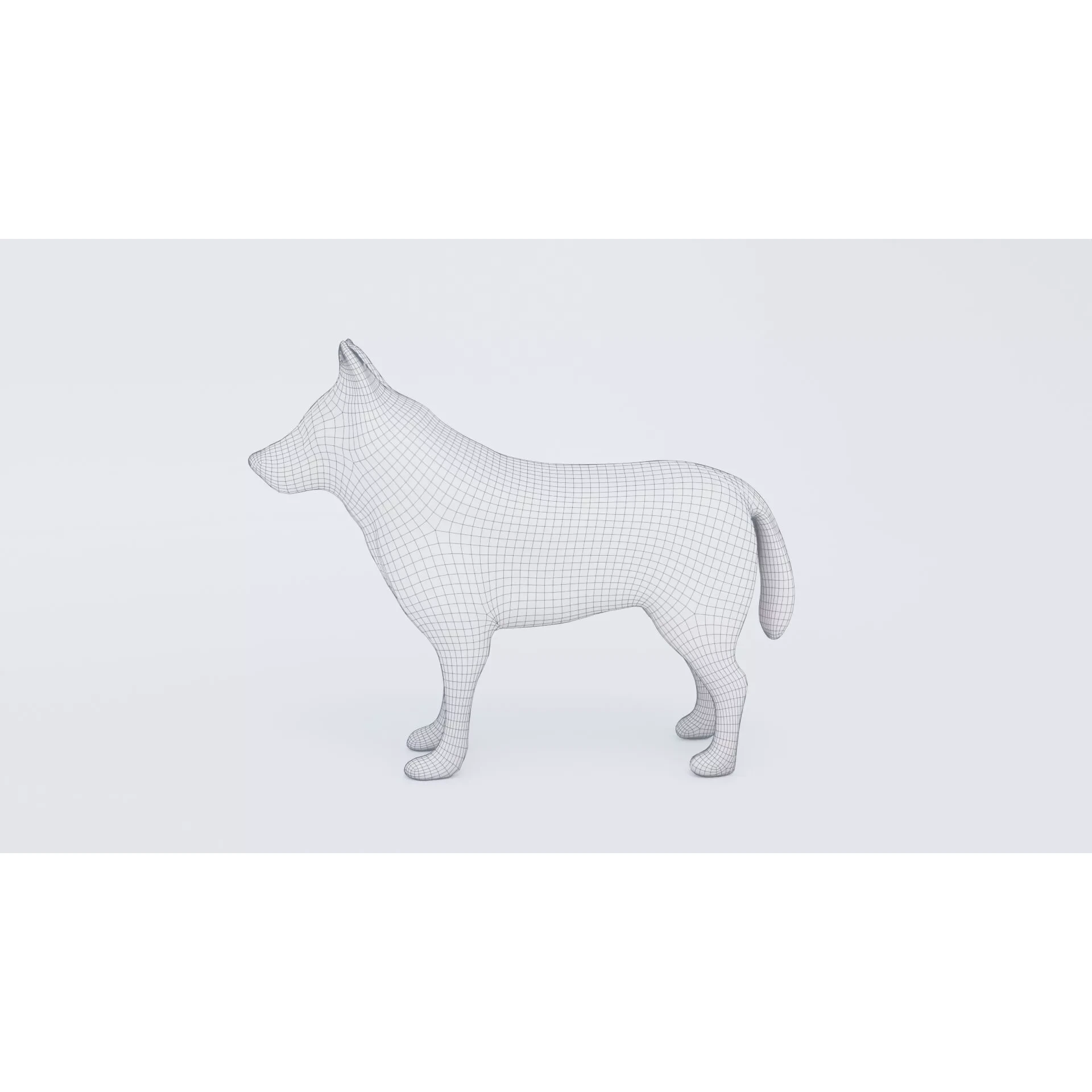 Wolf Animal Free 3D model 7