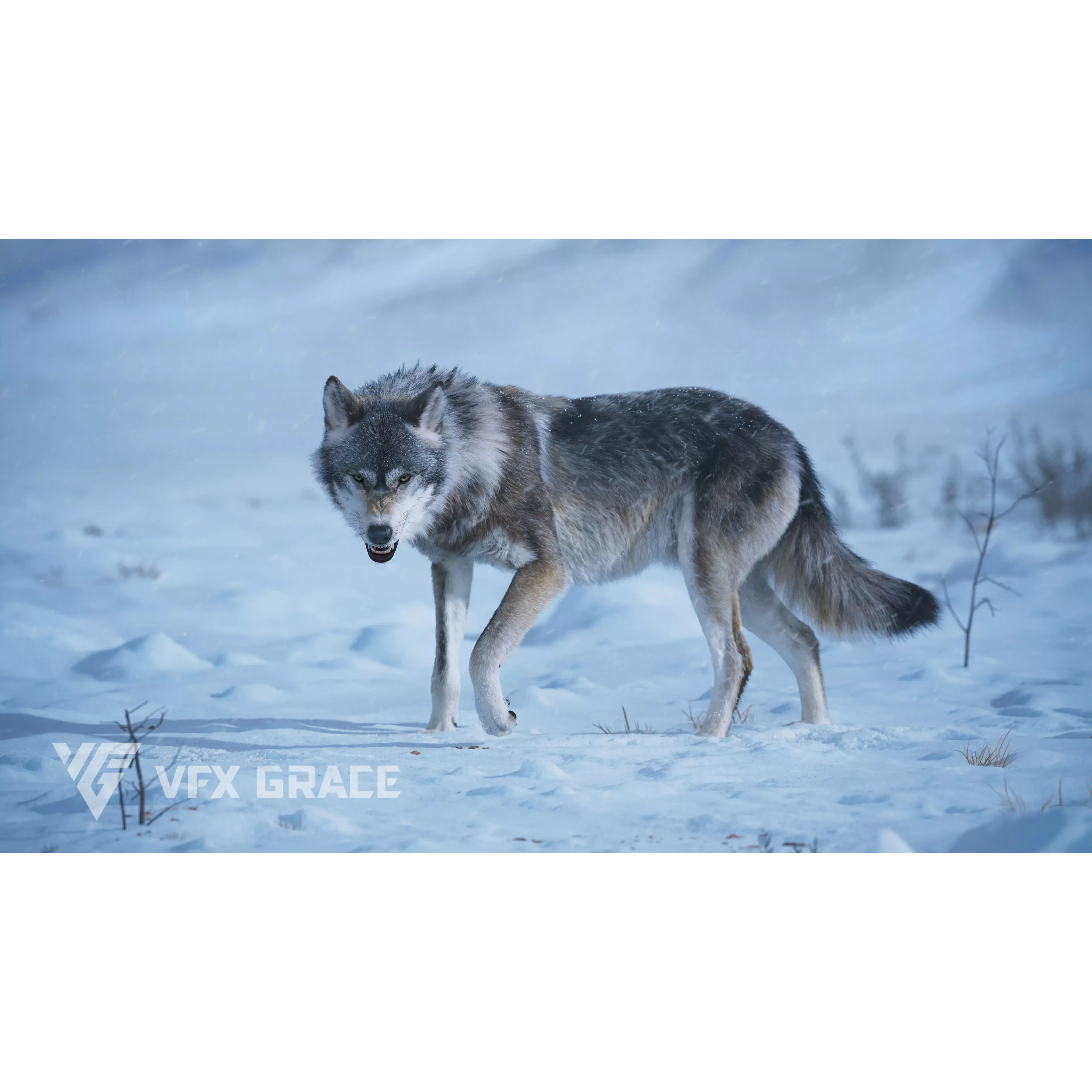 Wolf Animation VFX Grace 3D model