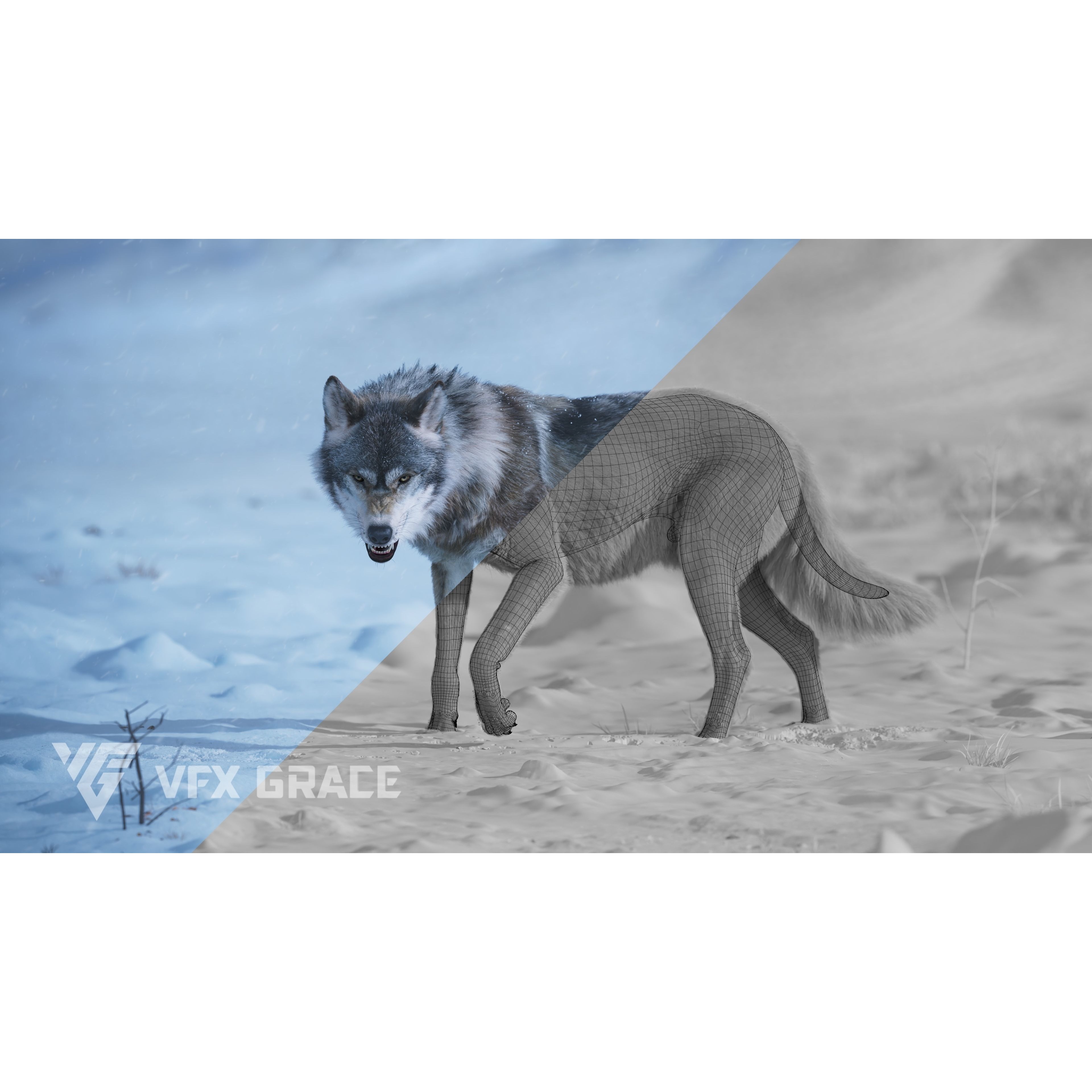 Wolf Animation VFX Grace 3D model 2