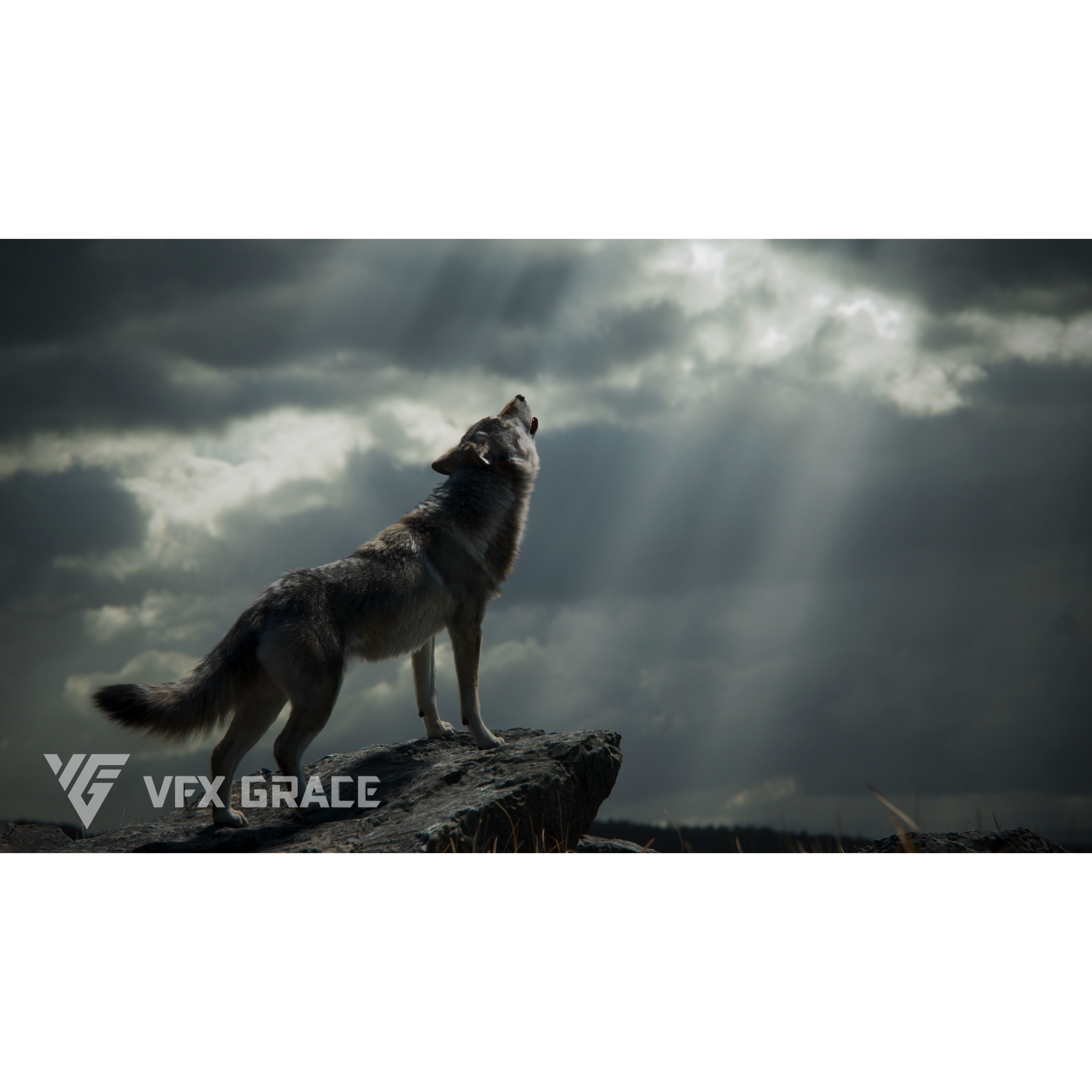 Wolf Animation VFX Grace 3D model 3