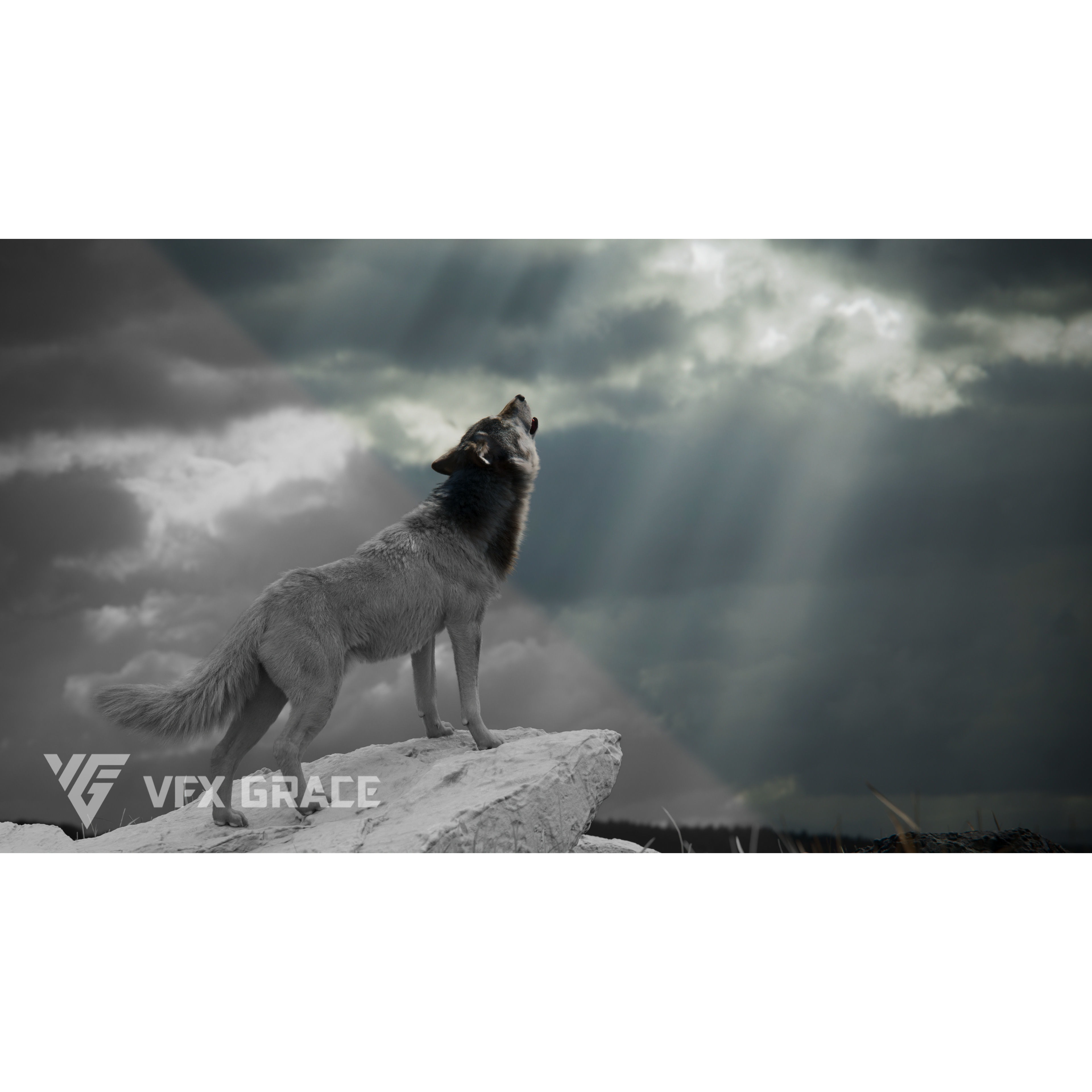 Wolf Animation VFX Grace 3D model 4