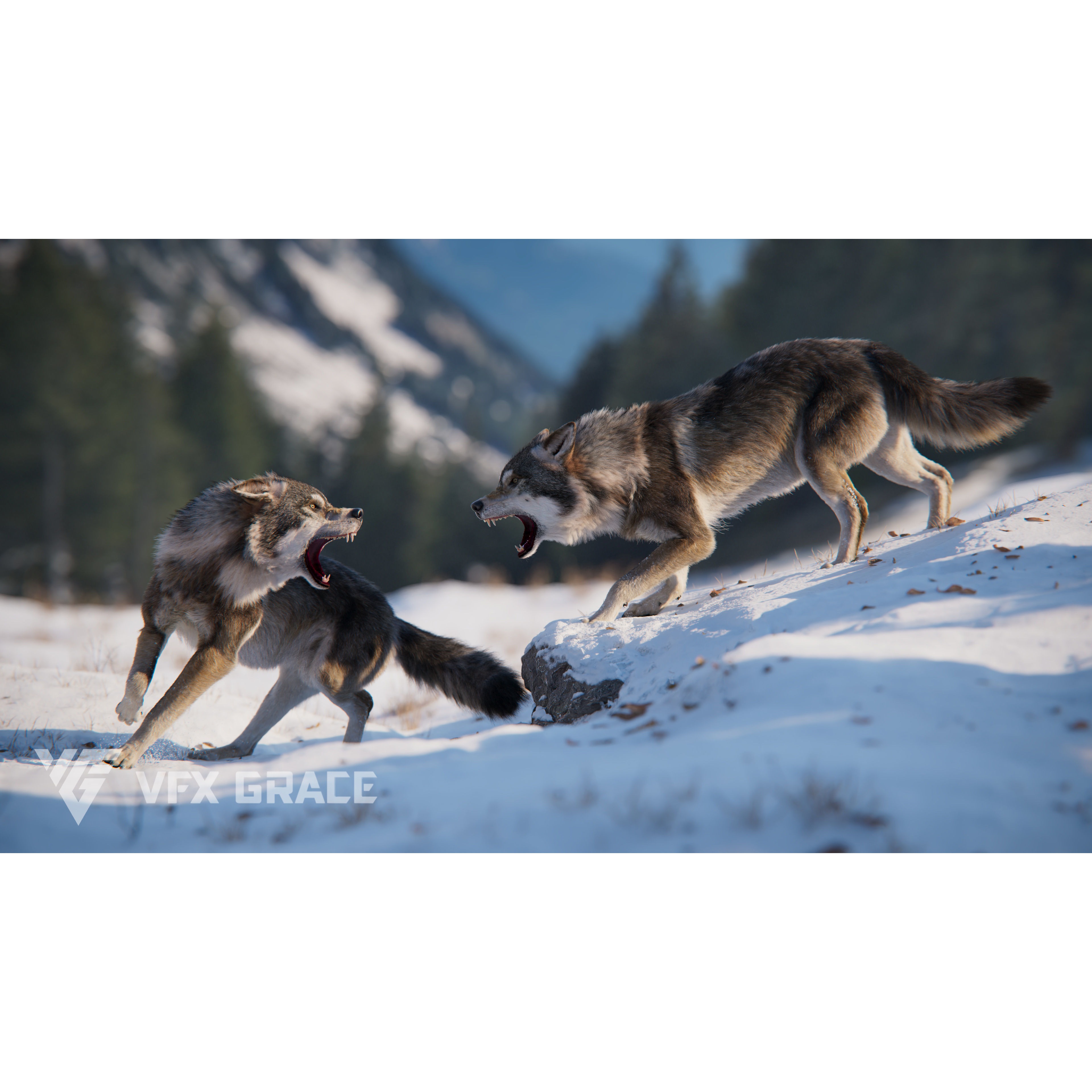 Wolf Animation VFX Grace 3D model 5