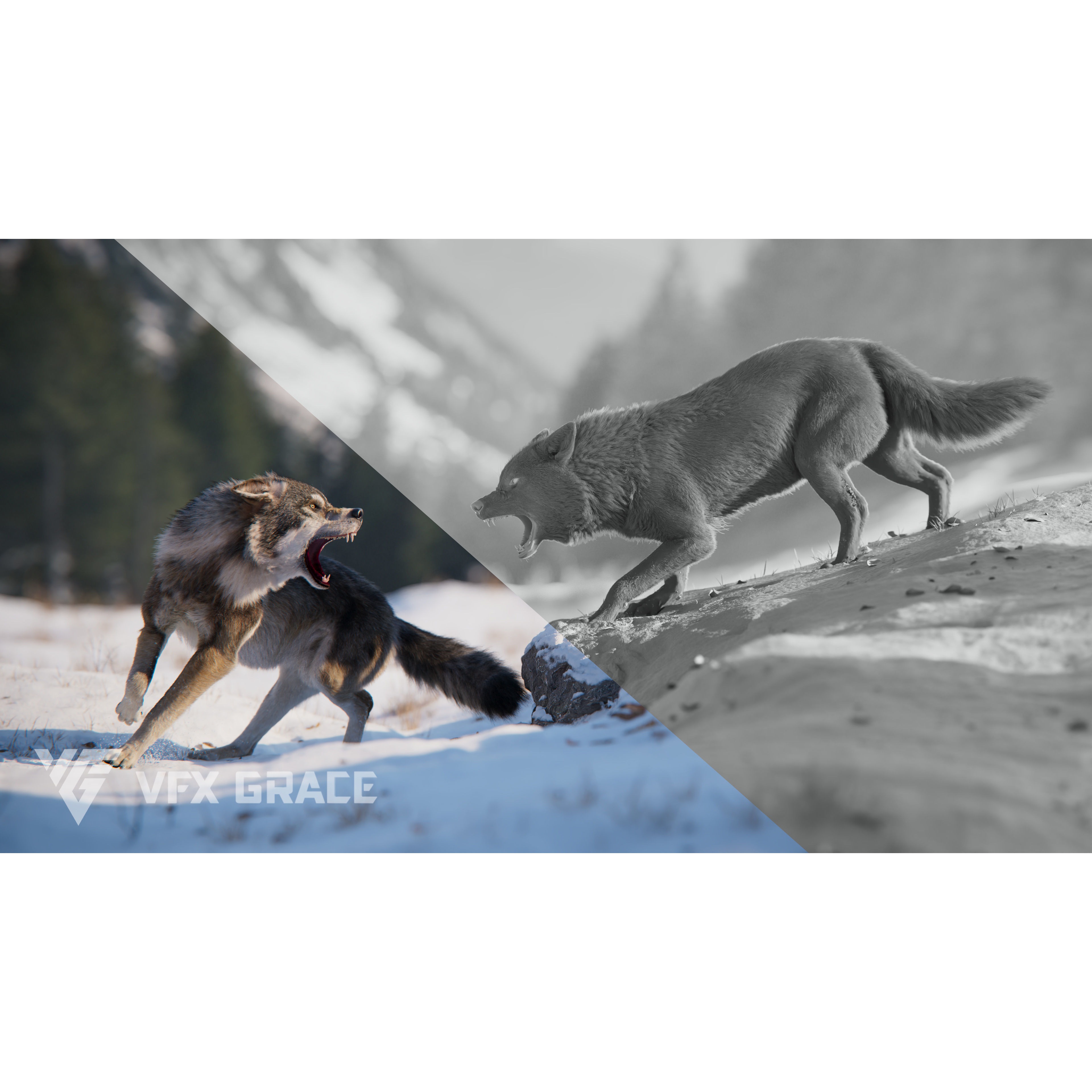 Wolf Animation VFX Grace 3D model 6