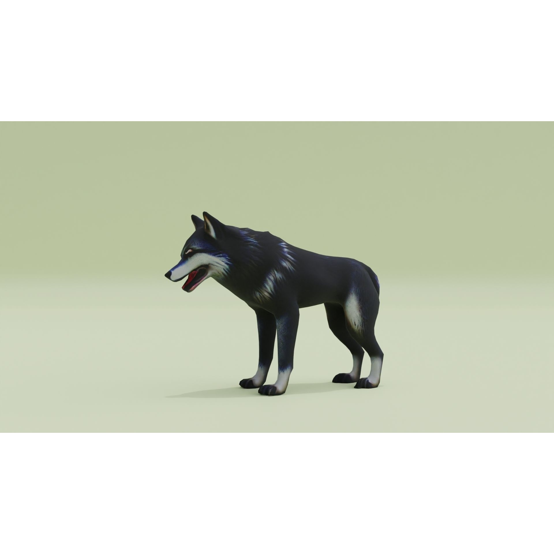 Wolf Black Animal Free low-poly 3D model 2