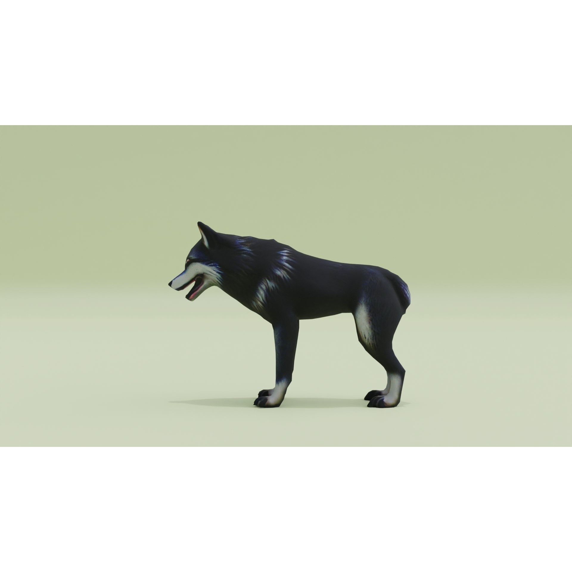 Wolf Black Animal Free low-poly 3D model 3