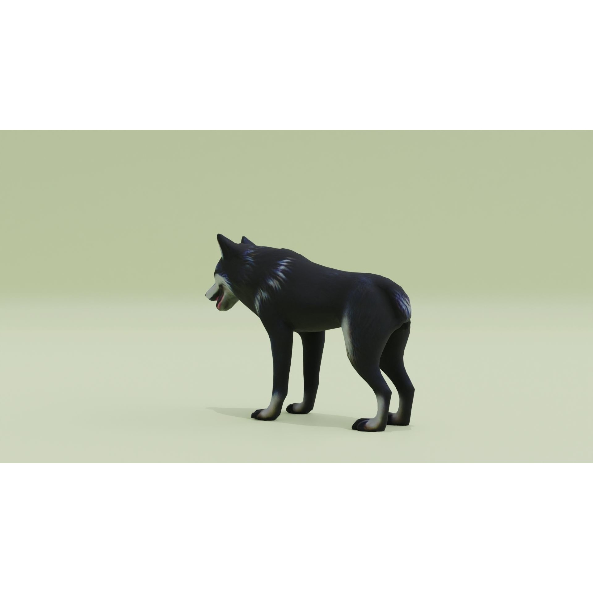 Wolf Black Animal Free low-poly 3D model 4