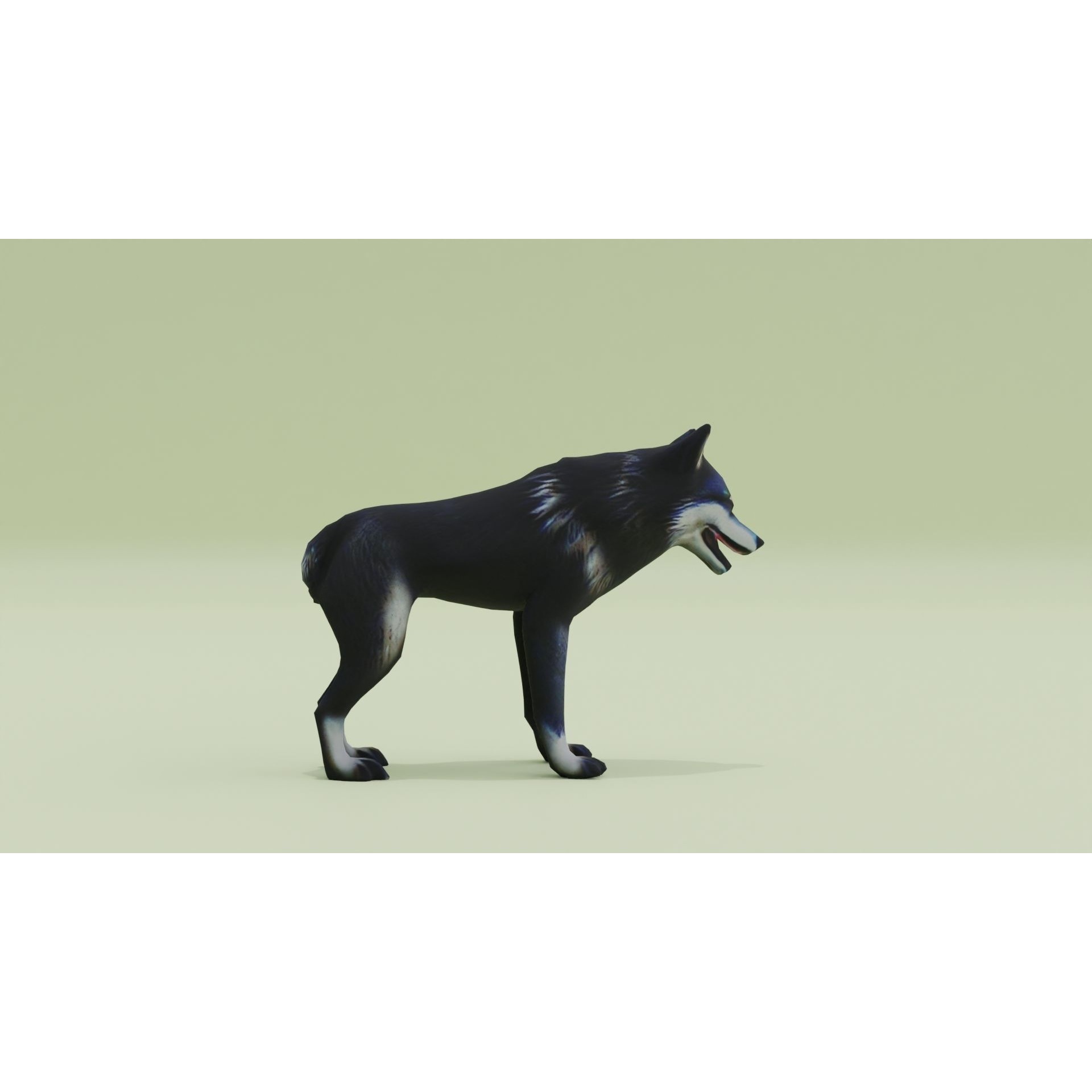 Wolf Black Animal Free low-poly 3D model 10