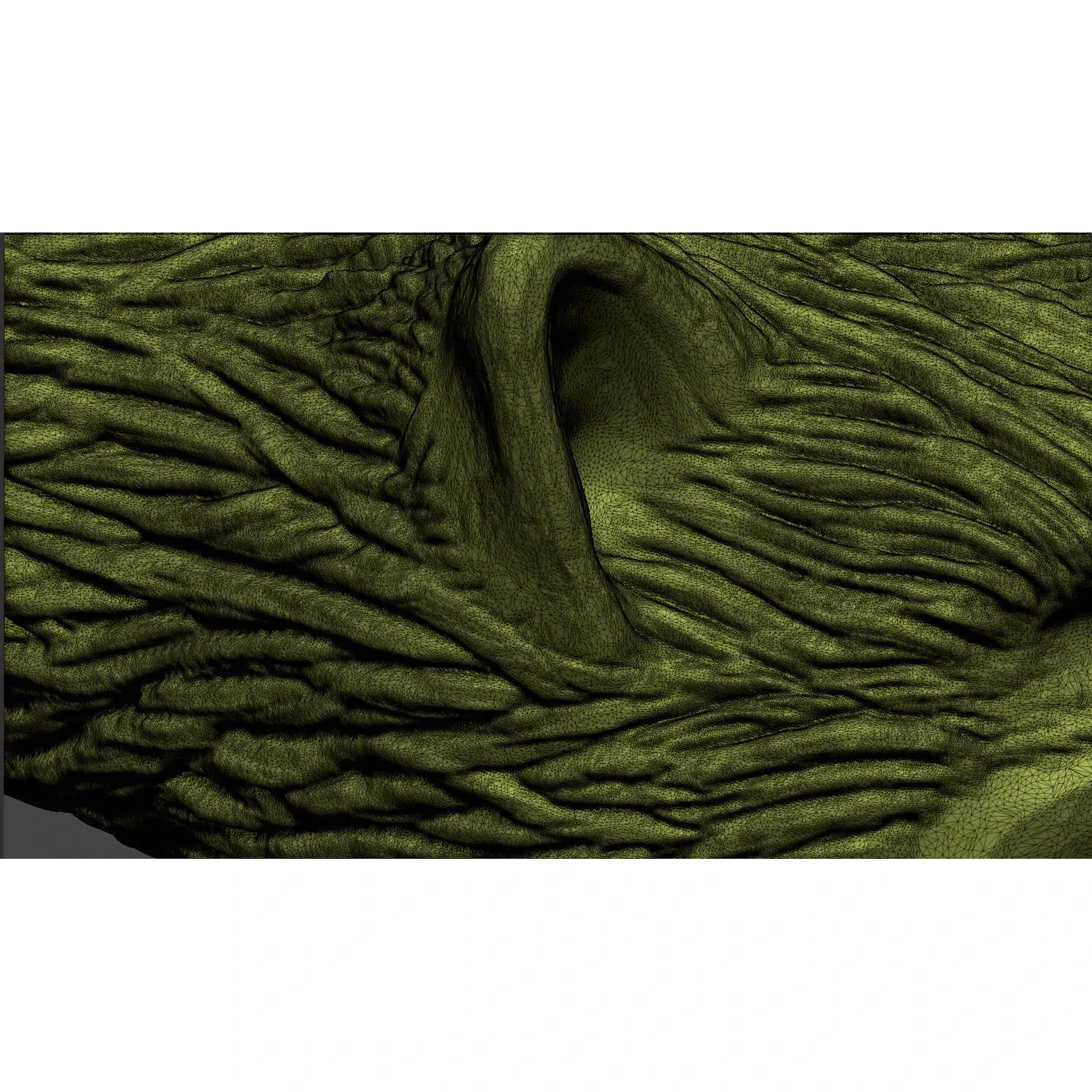 Wolf Head Free 3D print model 9
