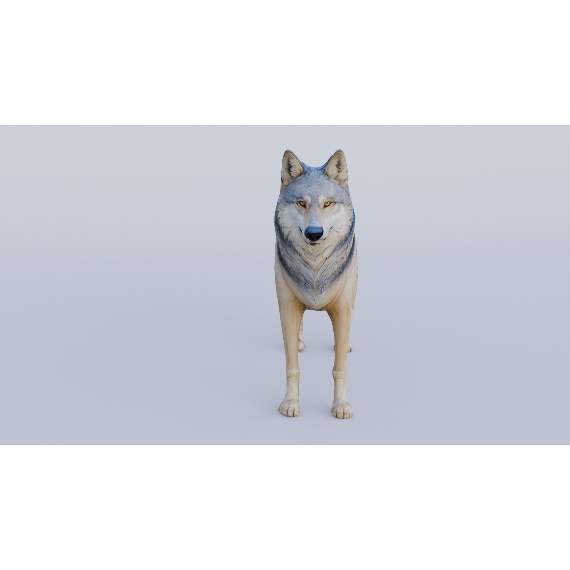 Wolf King Free 3D model 3